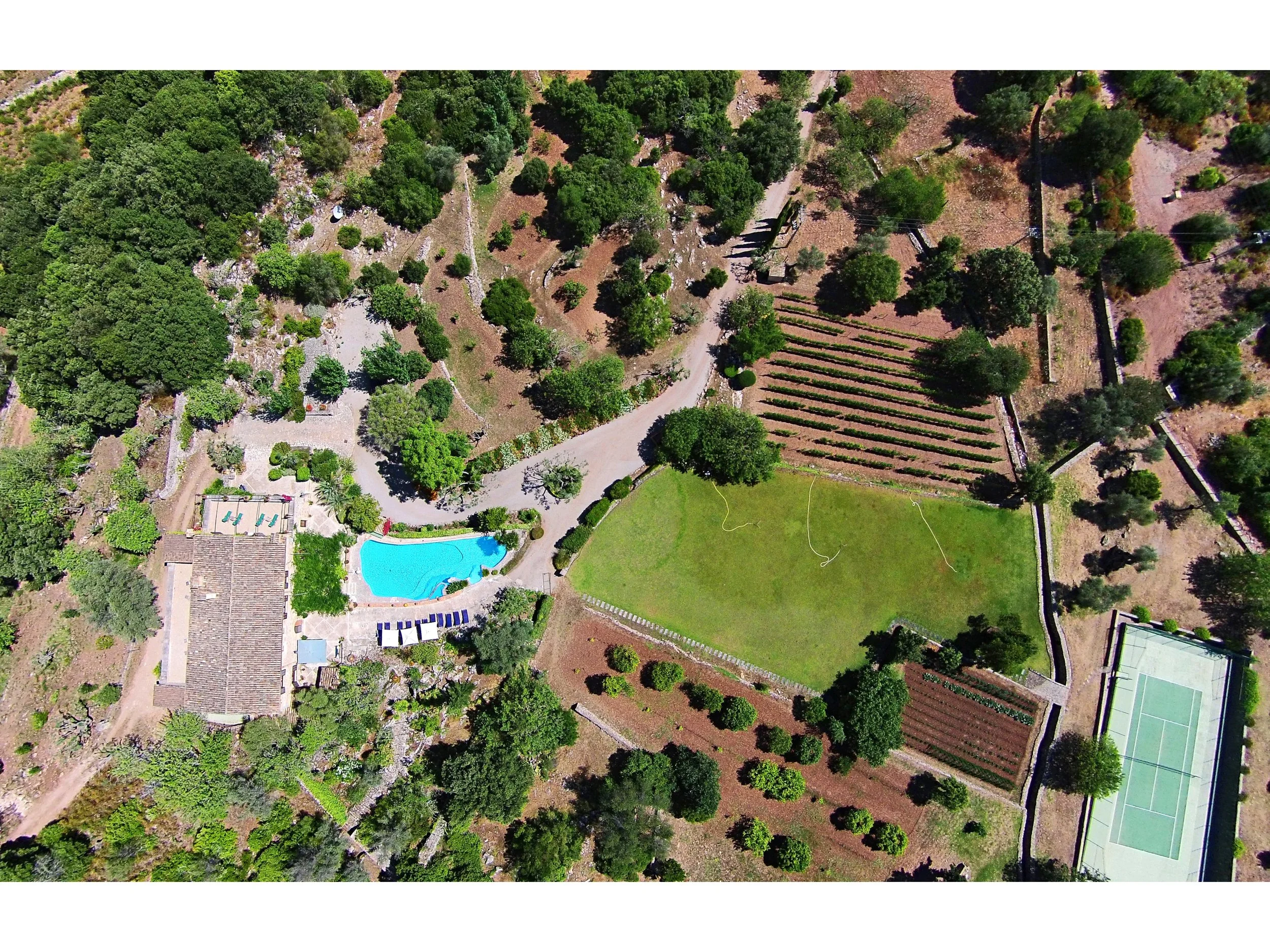 BV Can Melcion - A 11.jpg