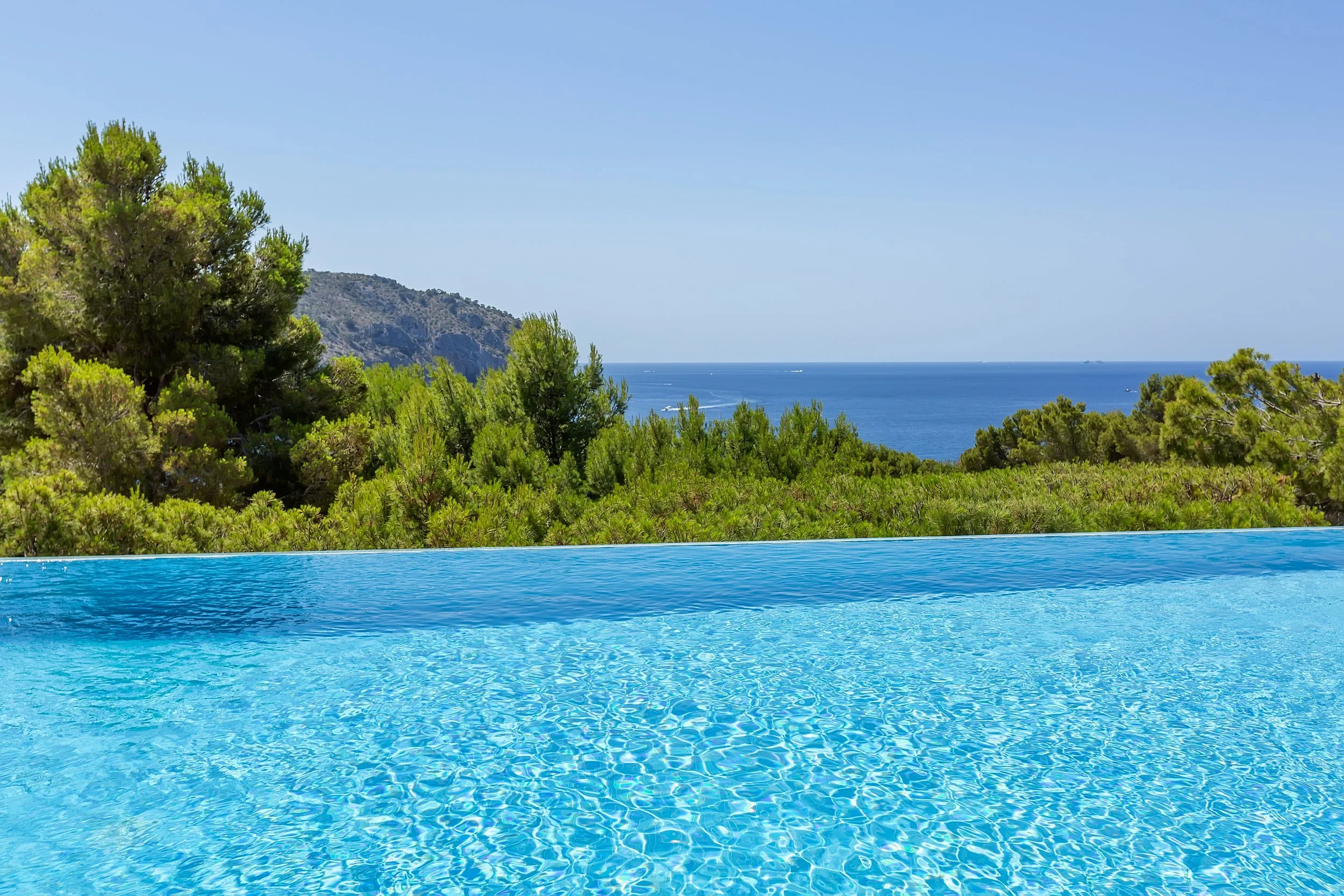 Kay - Gardenia 17-6910.jpg