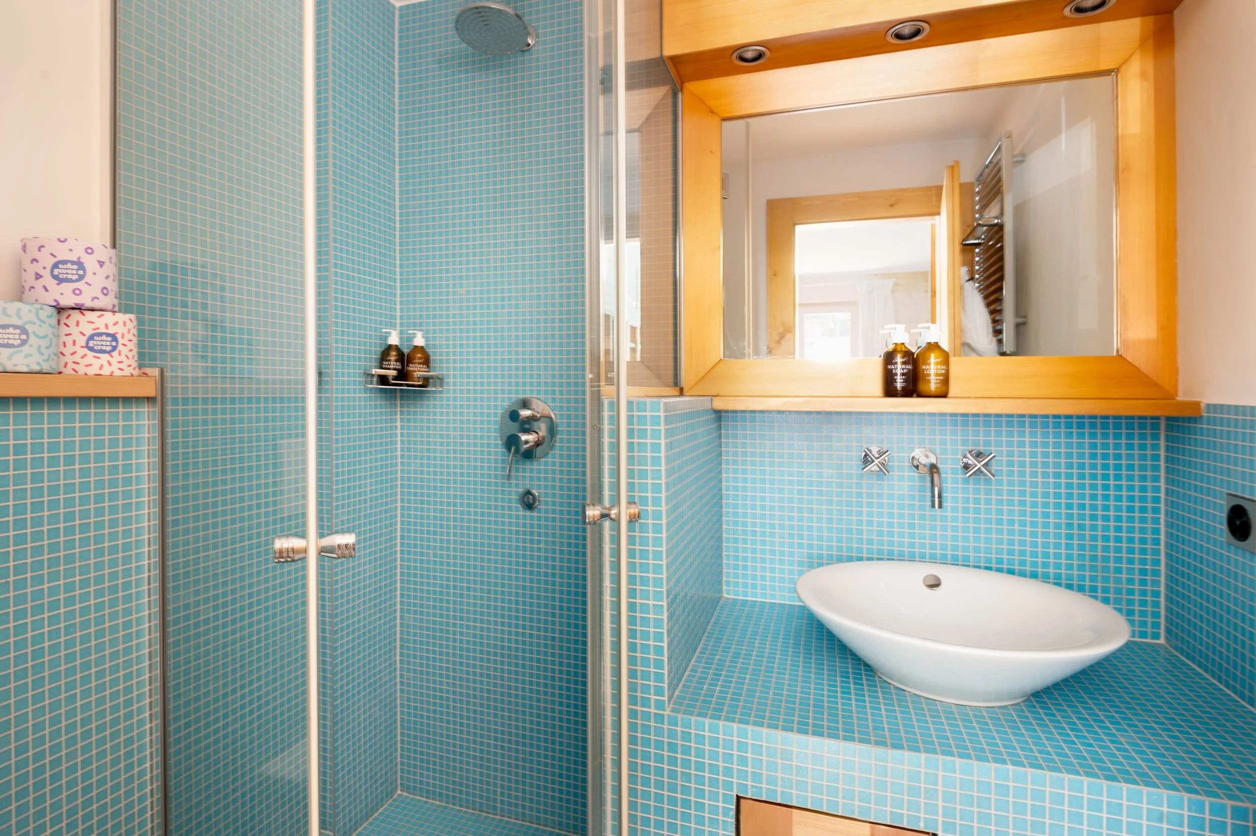 SA_Chalet Sorbier_Guest Ensuite example B.jpg