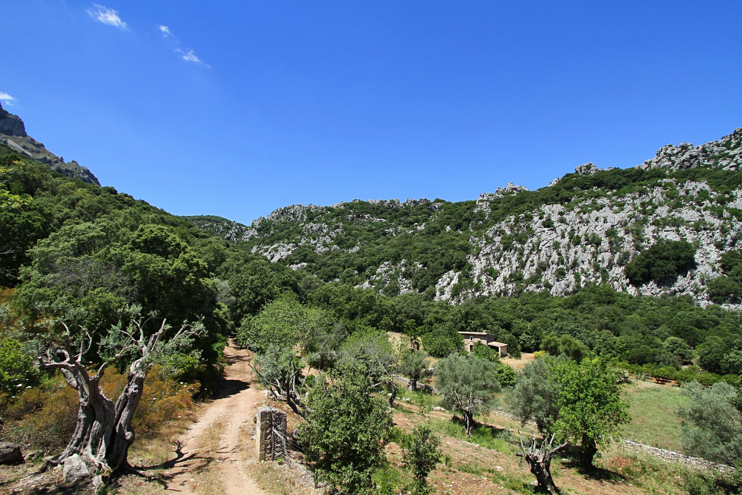 BV Can Melcion - V 01.jpg