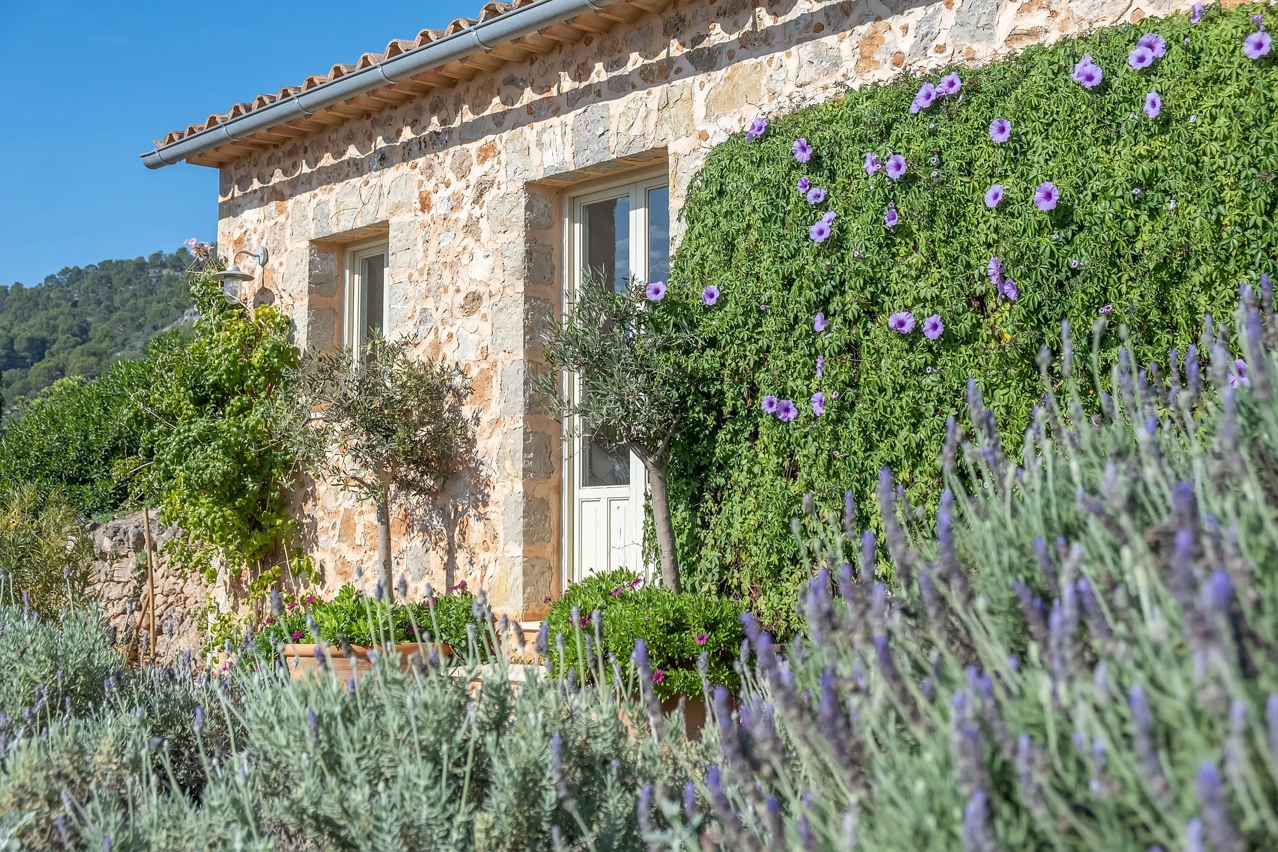 EC Villas - Alaro-9098.jpg