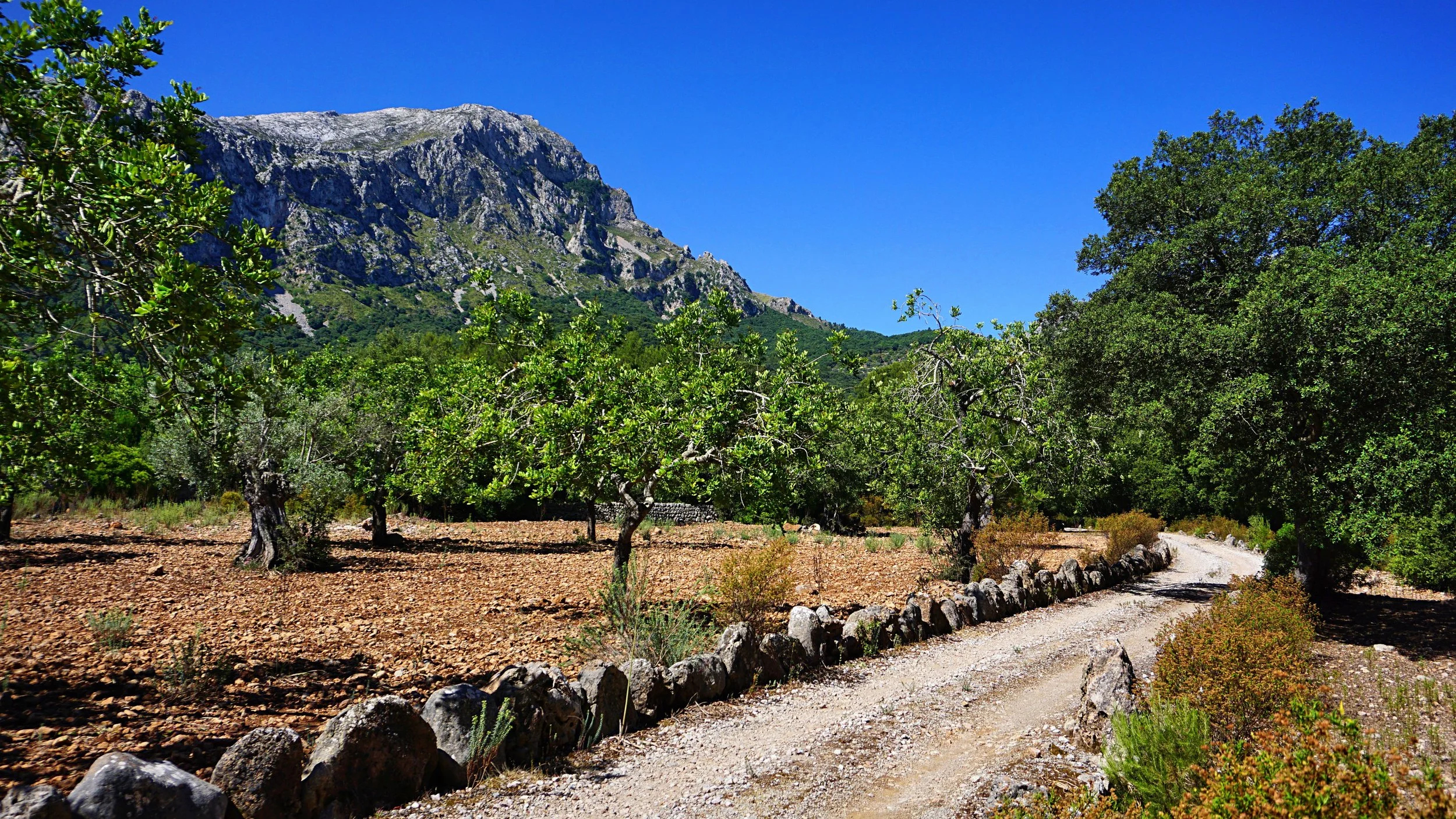 BV Can Melcion - X 00.jpg