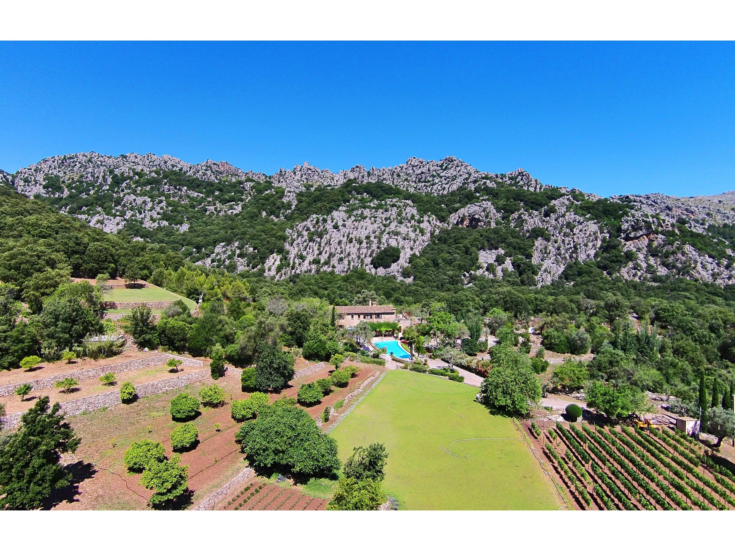 BV Can Melcion - A 00.jpg