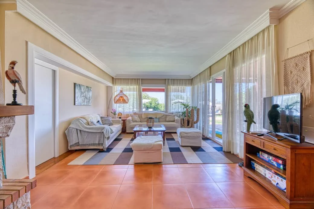 Bright living room with large windows, sofas, an area rug, a wooden TV stand, and decorative cactus plants.