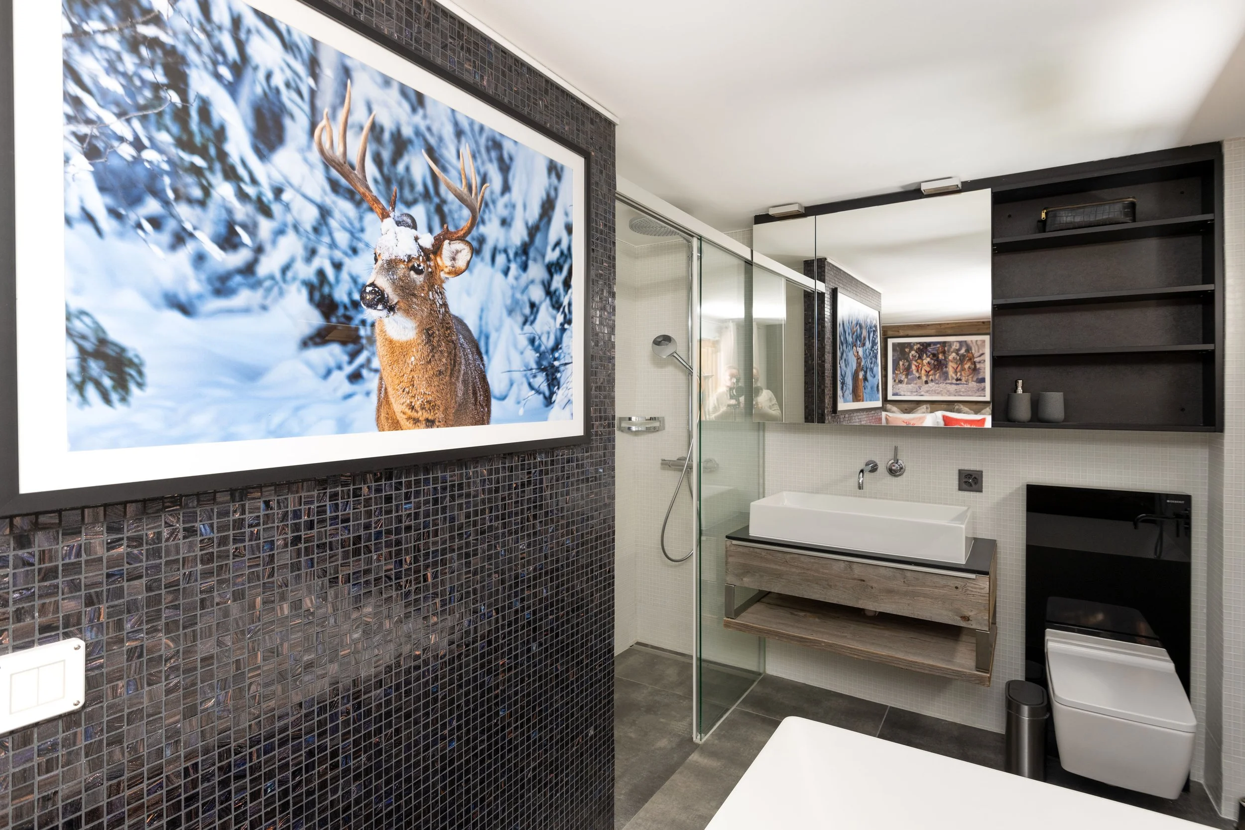 Ski Armadillo - Verbier - Chalet Pietra Serena [new] (6).jpg