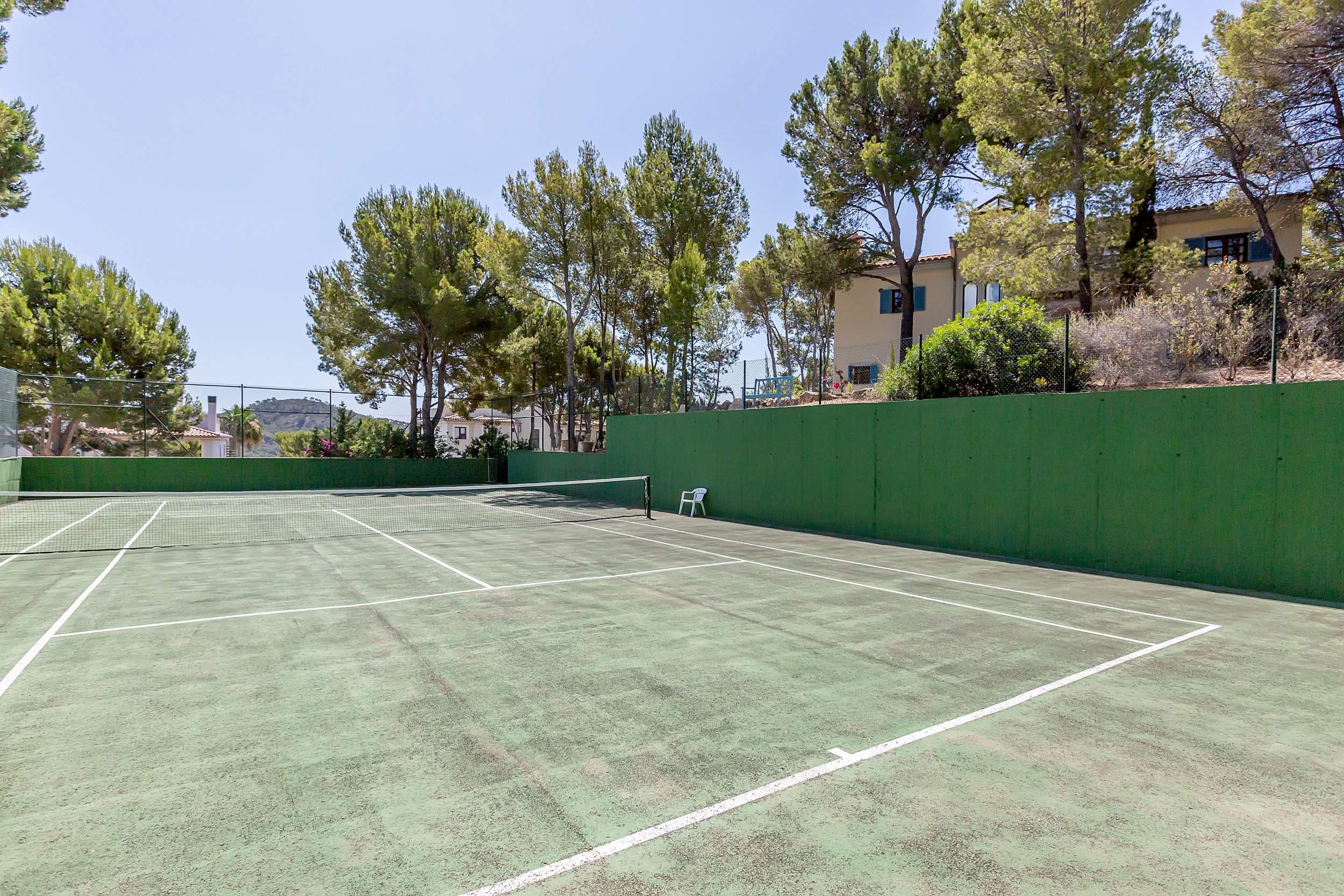 Kay - Gardenia 17-6896.jpg