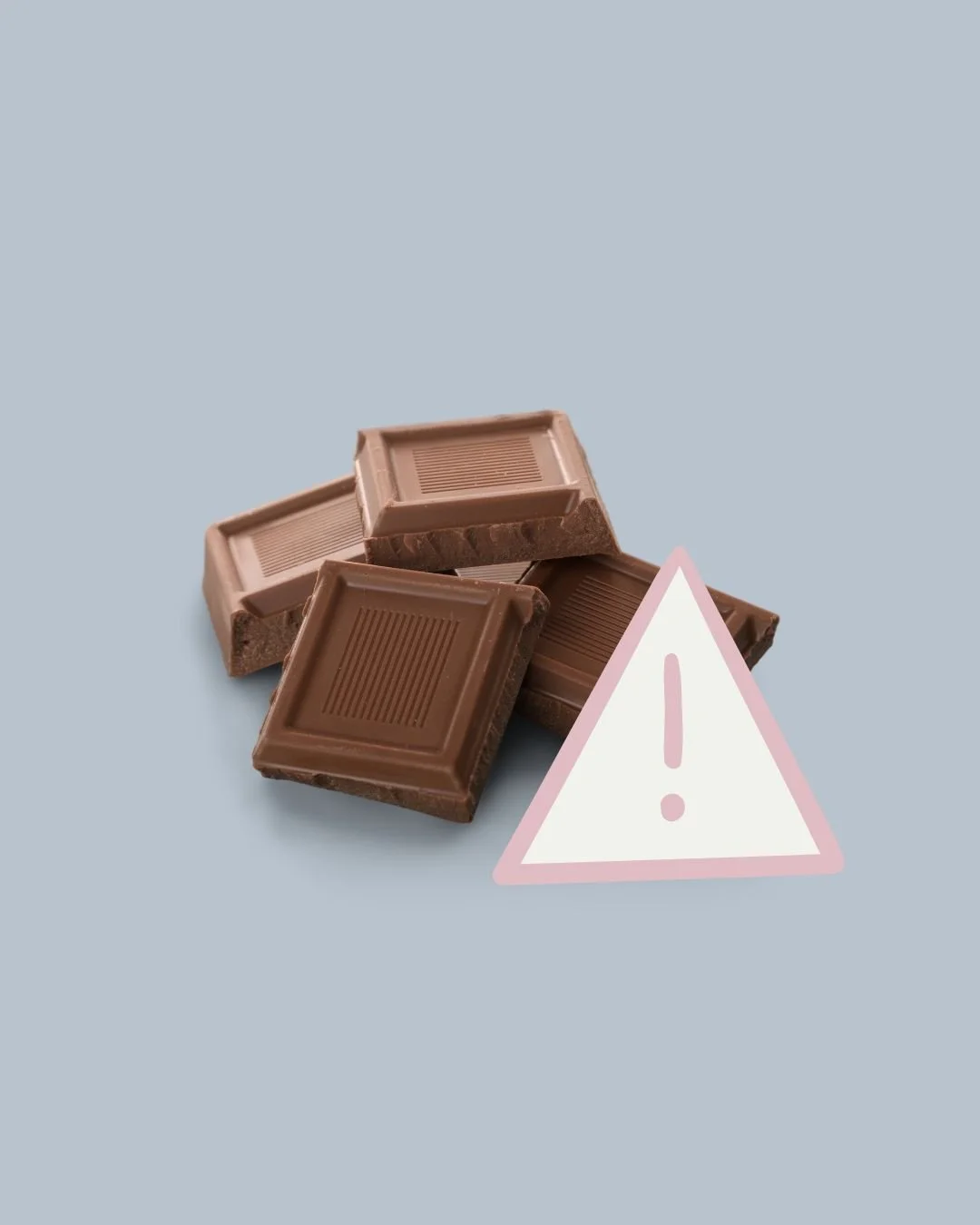 Chokladförgiftning hos hund