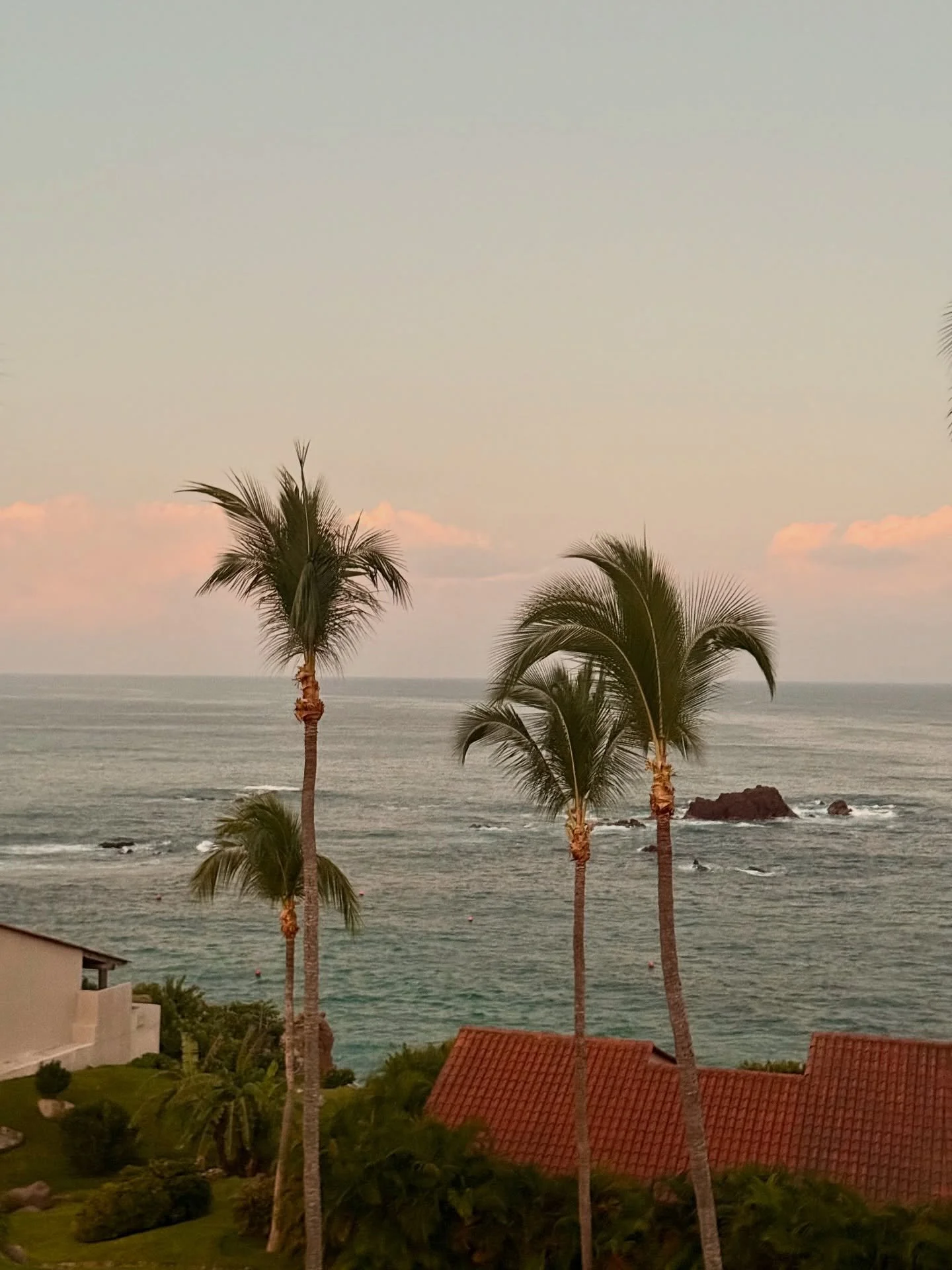 Tacos, tequila, turtles and the best team in the biz. Thank you  @fspuntamita and @fstamarindo for the time spent in paradise, and thank you @thelocalforeigner for the incredible team bonding retreat and the warm welcome. #WeGoFar #WeMakeTravelBetter