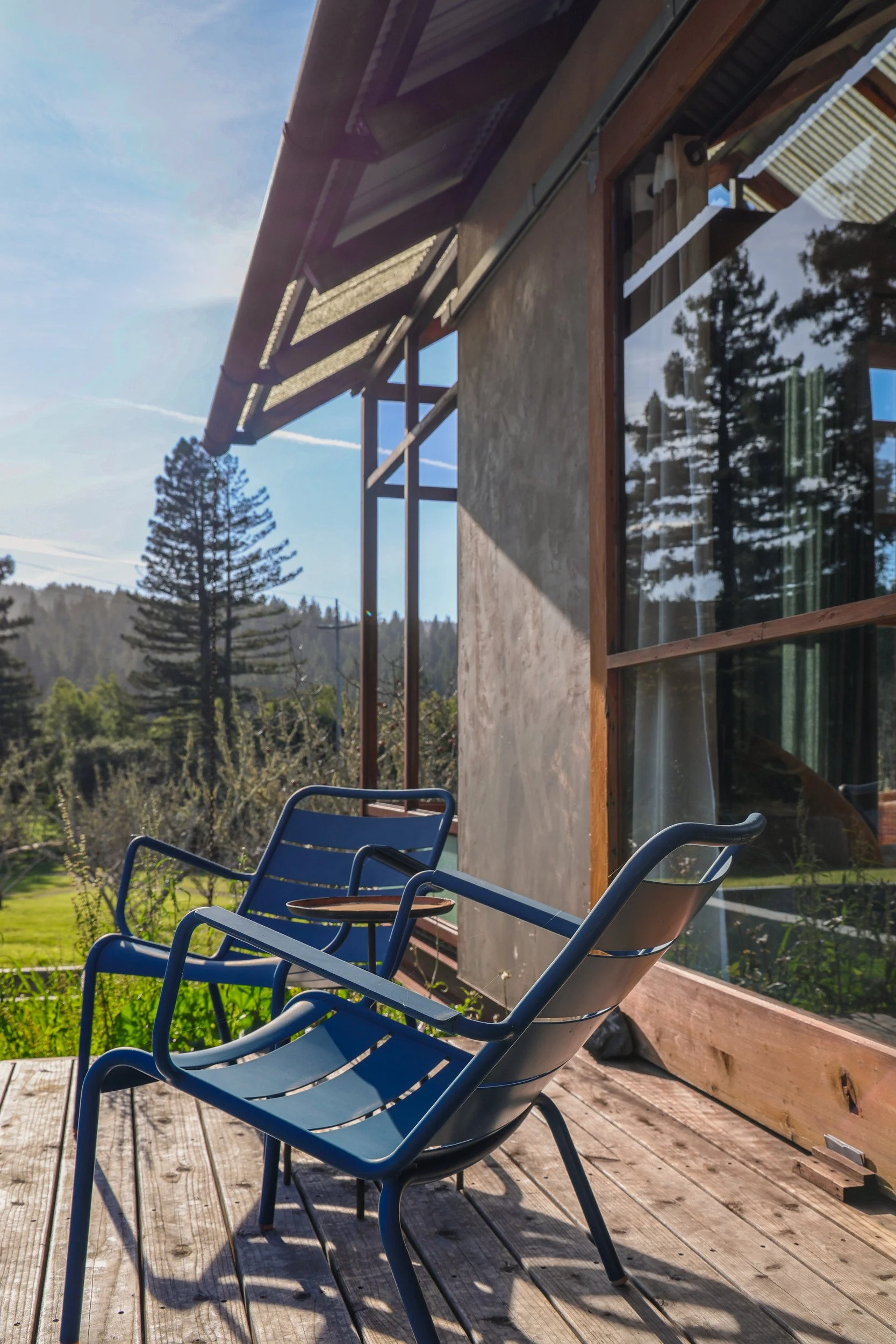 steel-window-detail-06-apple-farm-residence-72dpi.jpg