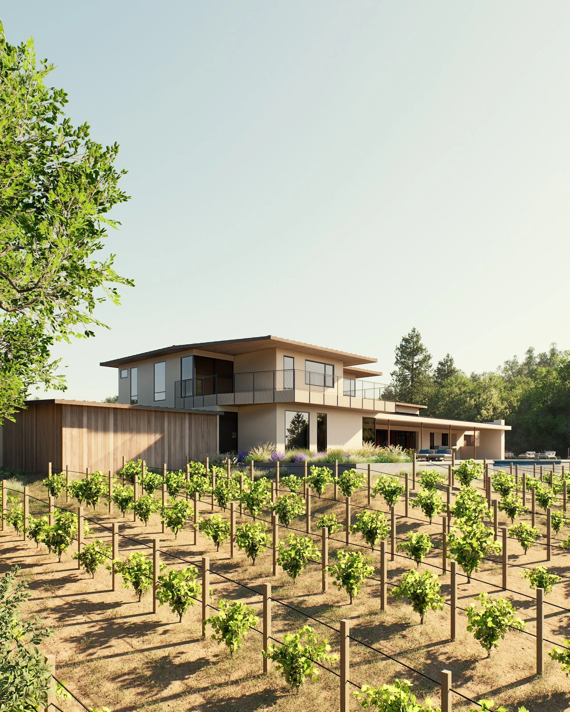 Napa Vineyard View House_10_Lesec Architecture.jpg