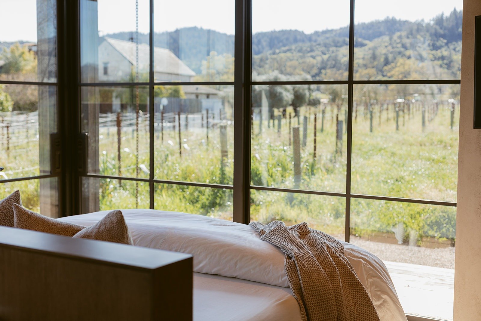 napa-valley-vineyard-views-rutherford-villa-72dpi.jpg