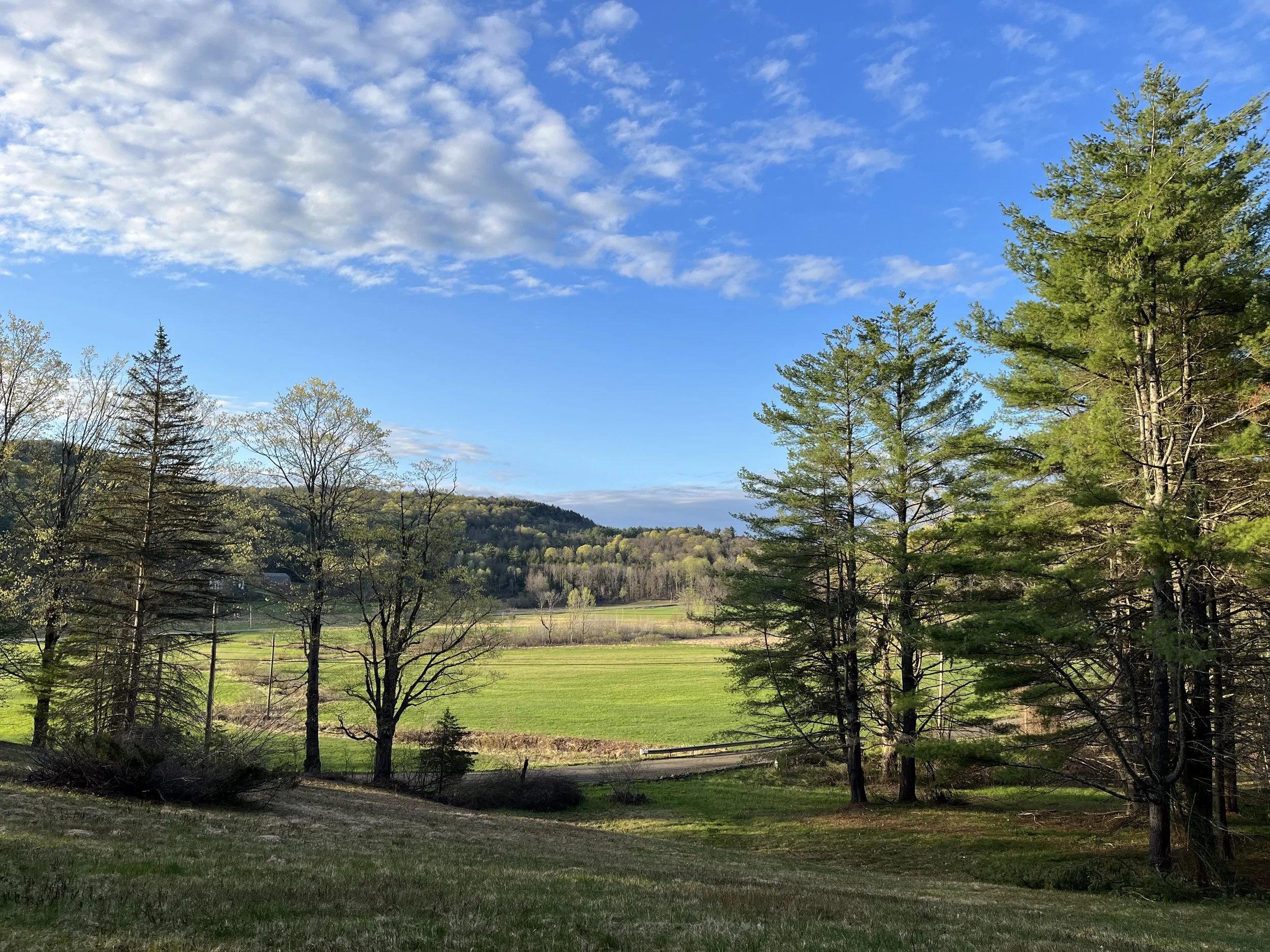 Leyden Hills in Spring