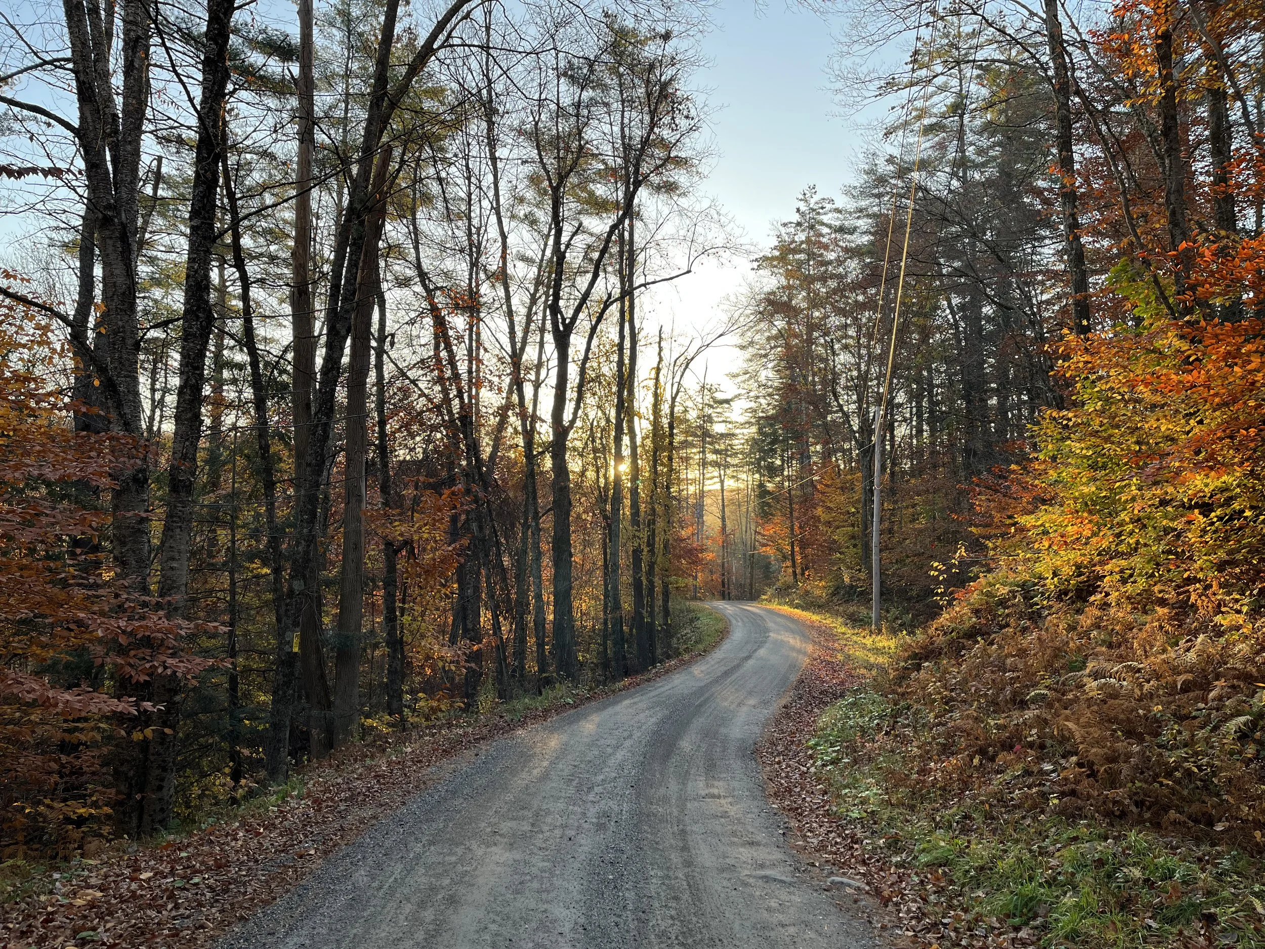 Alexander Rd in Autumn