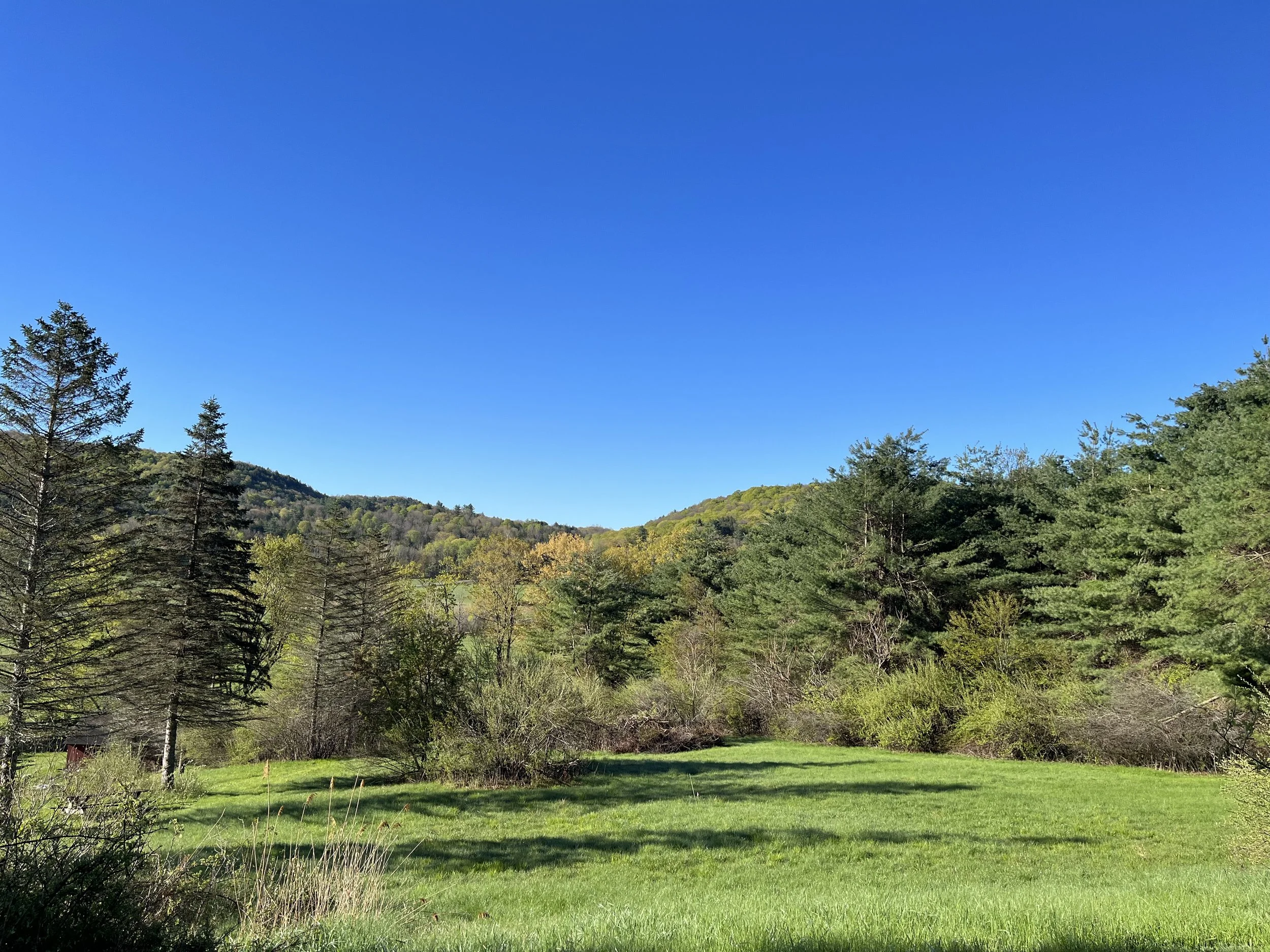 Hills of Leyden