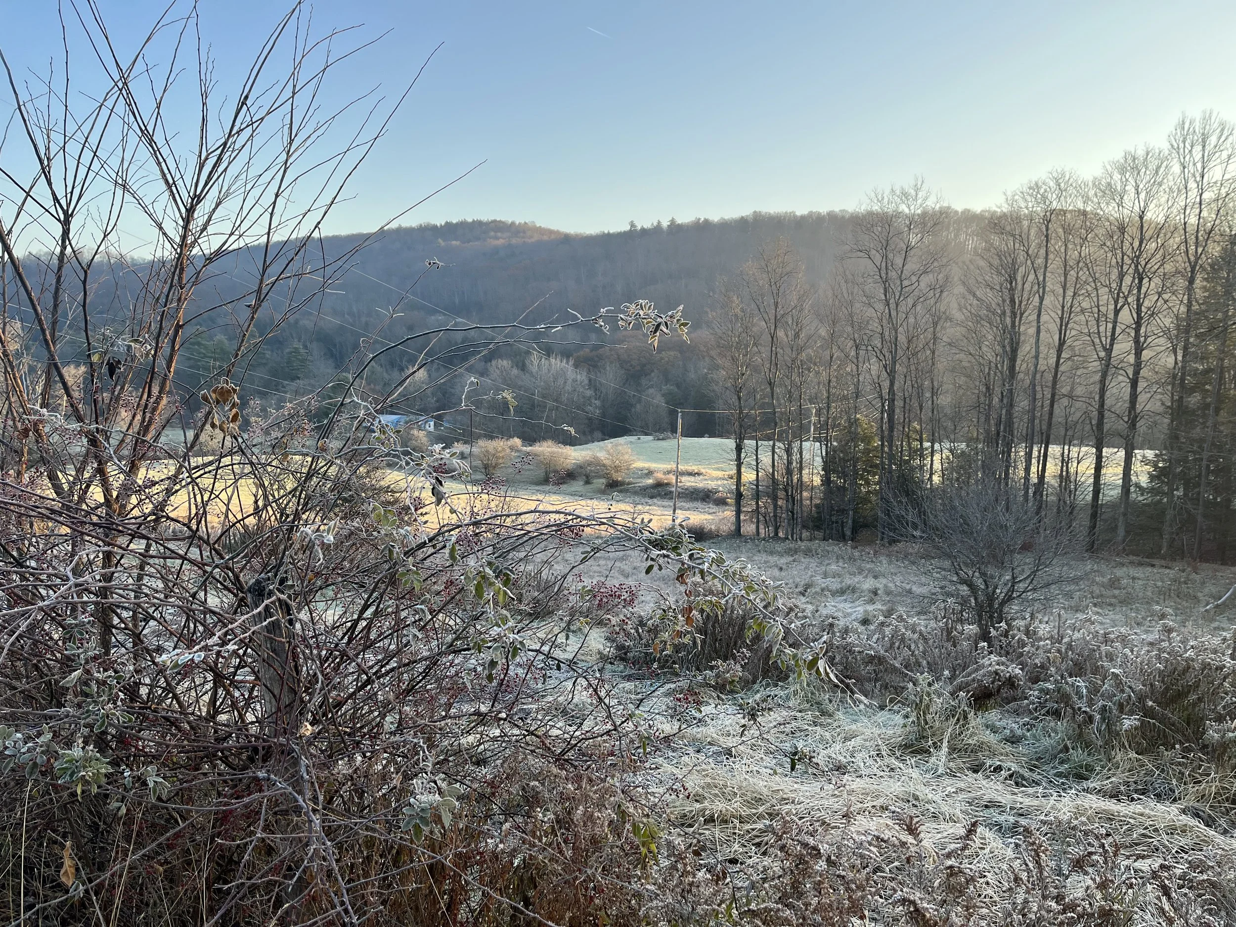 Early winter morning