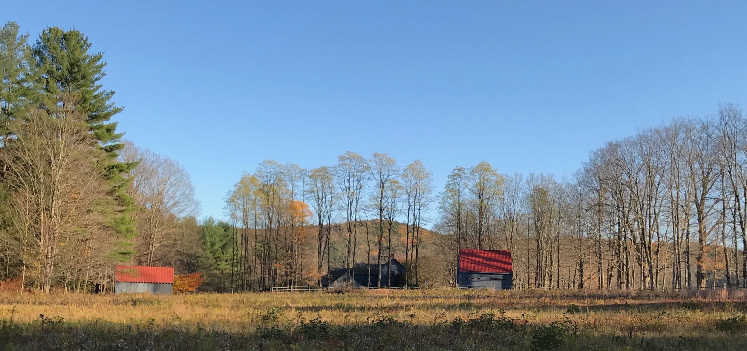 View toward house & barn from north field