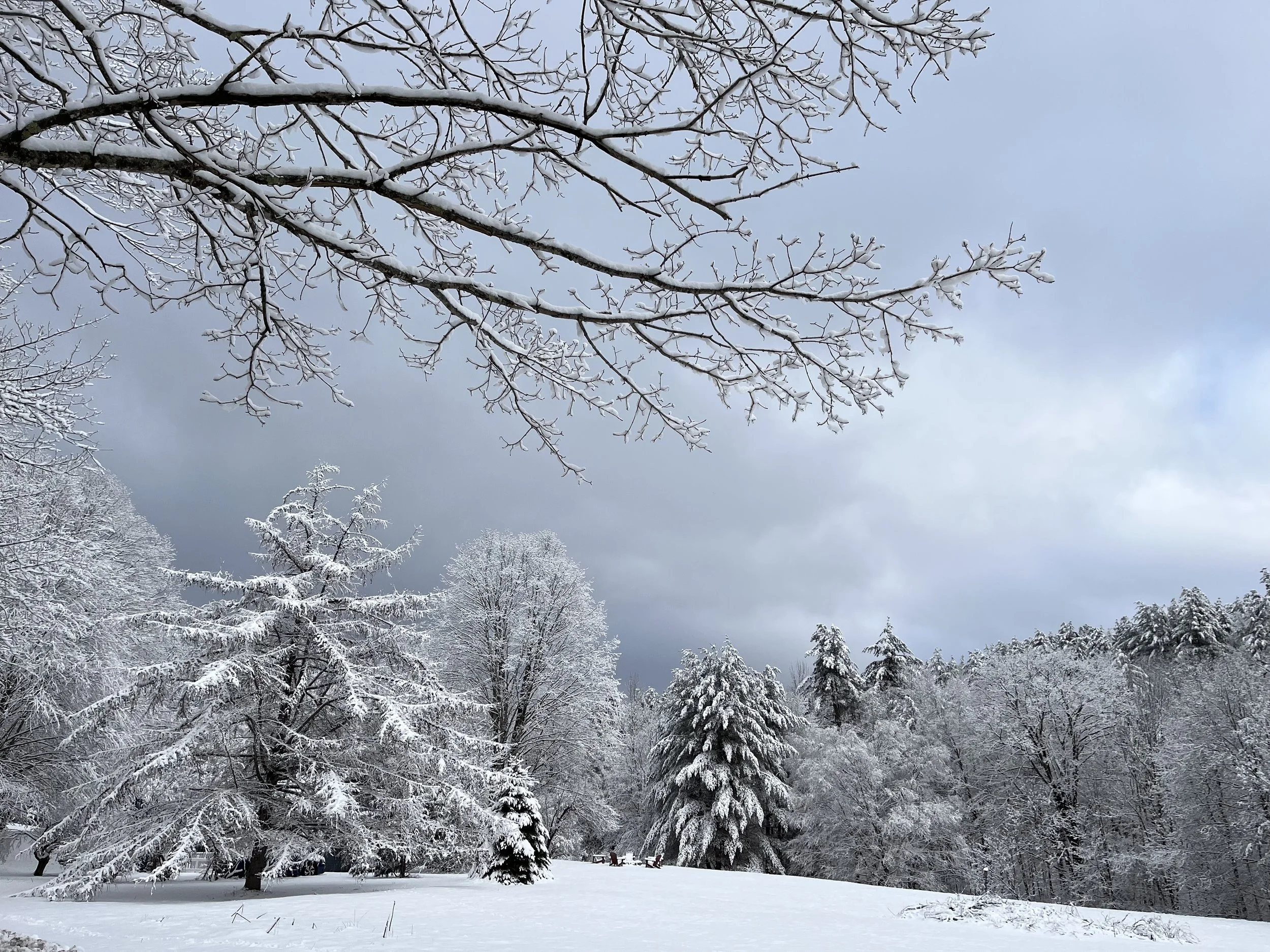 Winter Wonderland