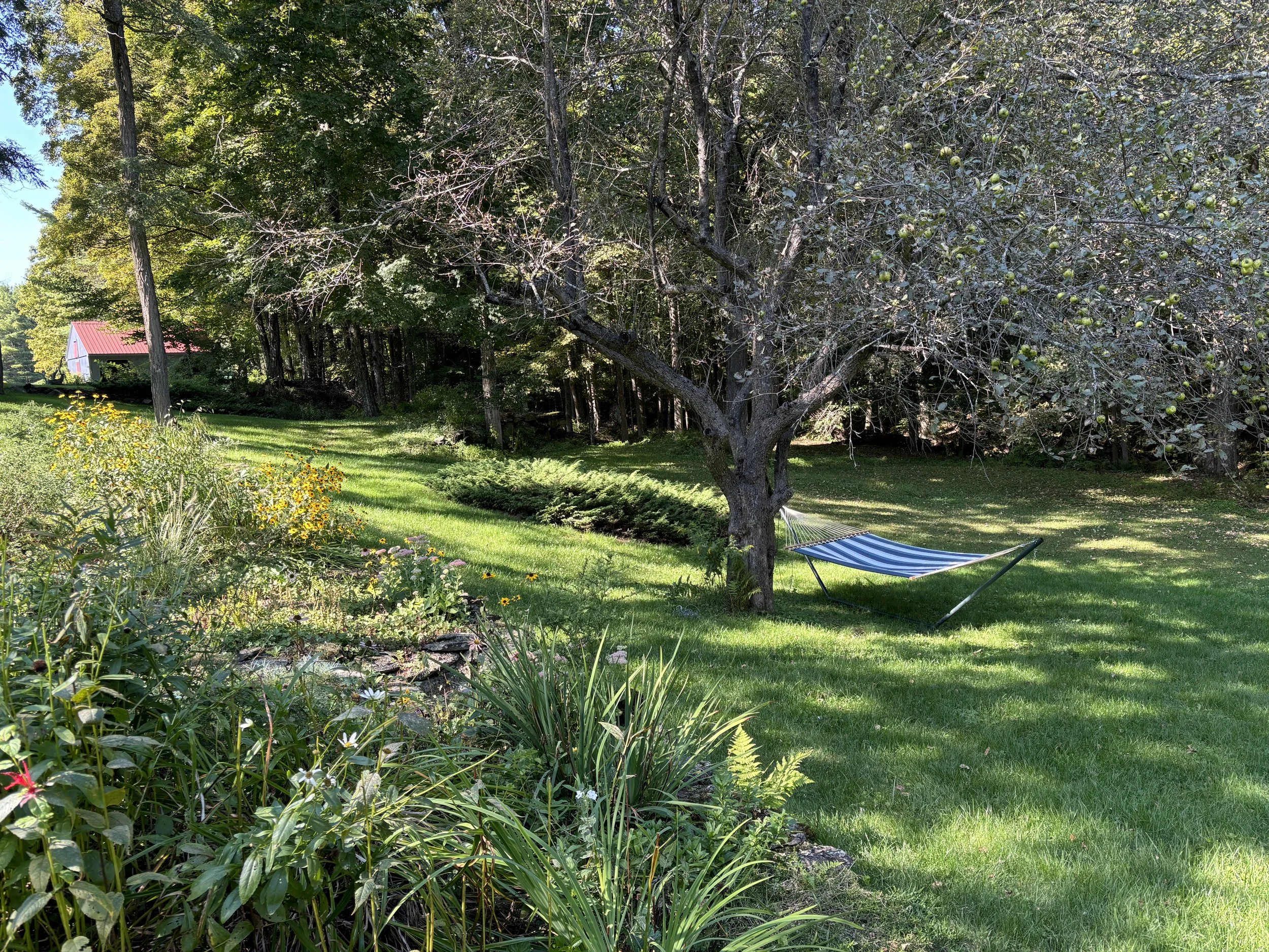 Backyard Rest