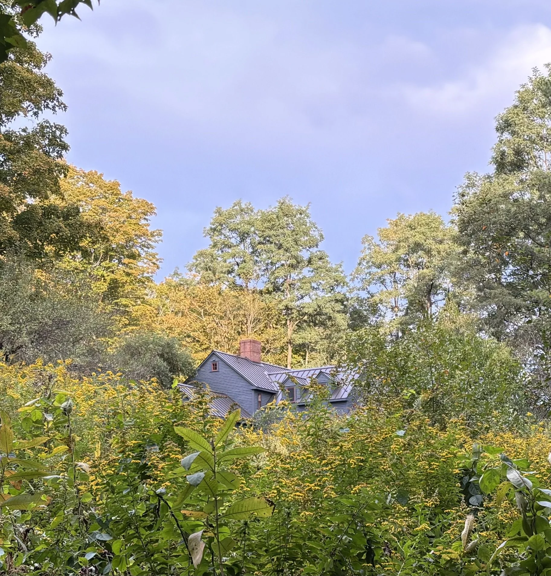 Main House from Woods Path