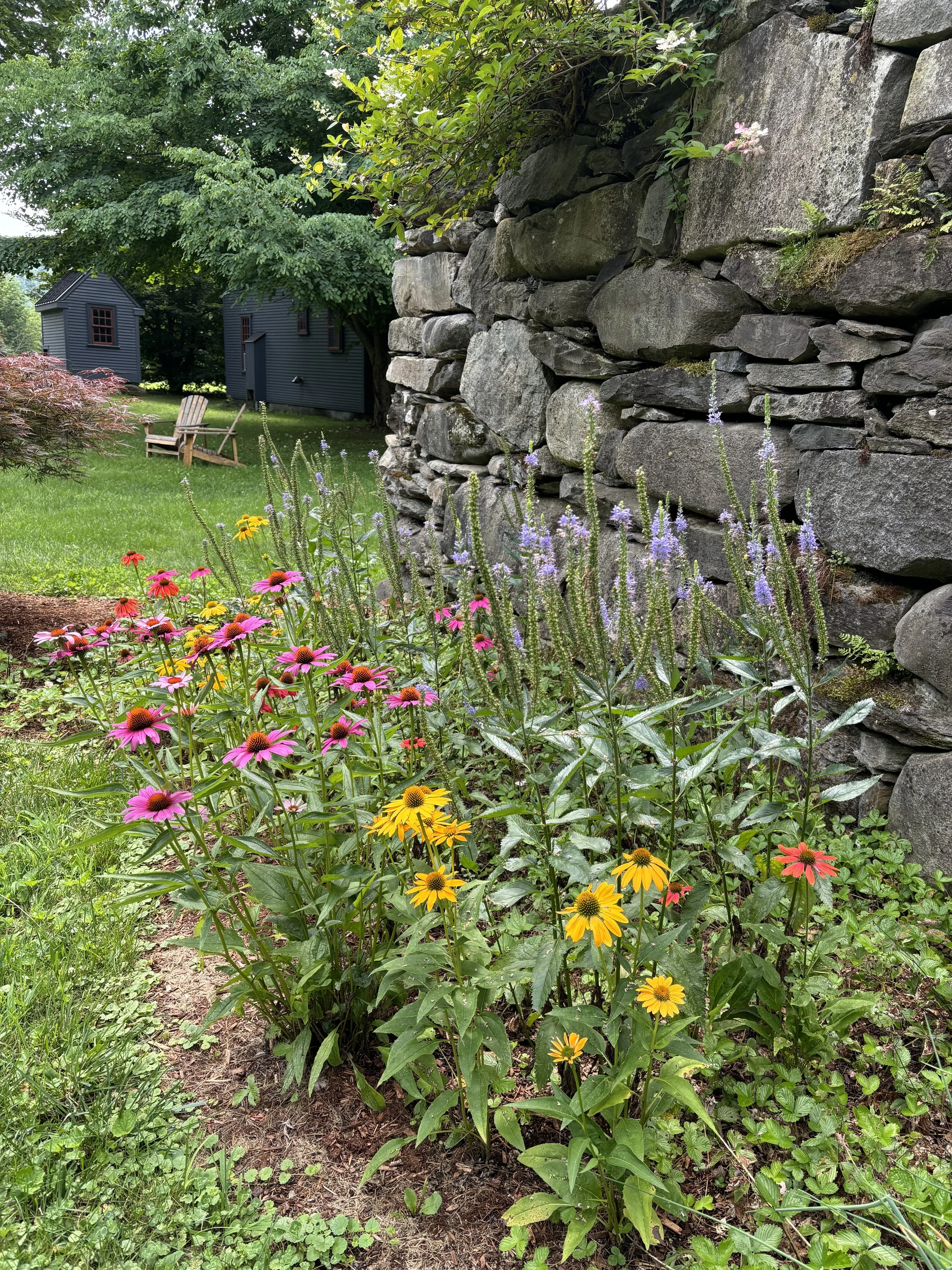 Summer Garden