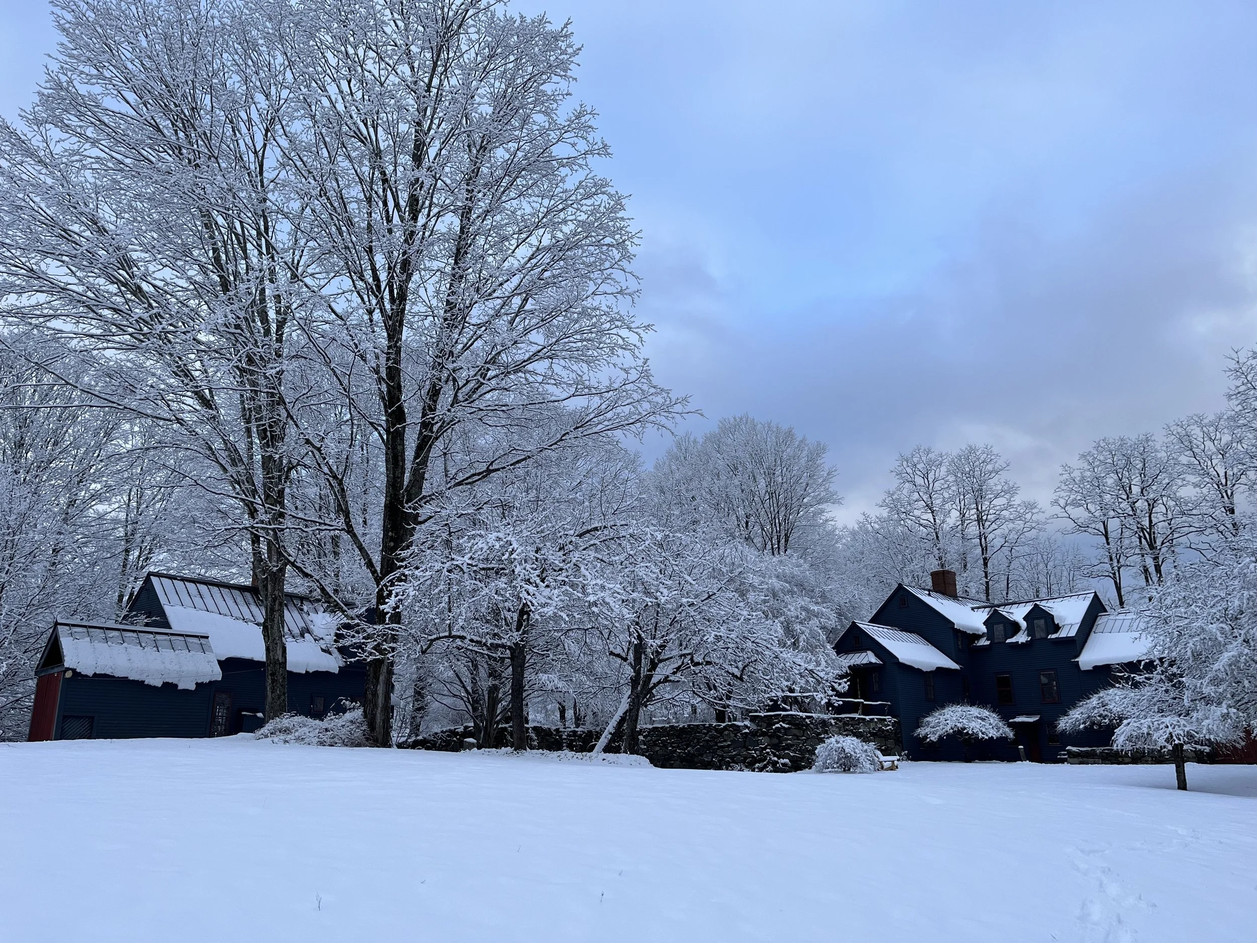 Both Houses in Snow