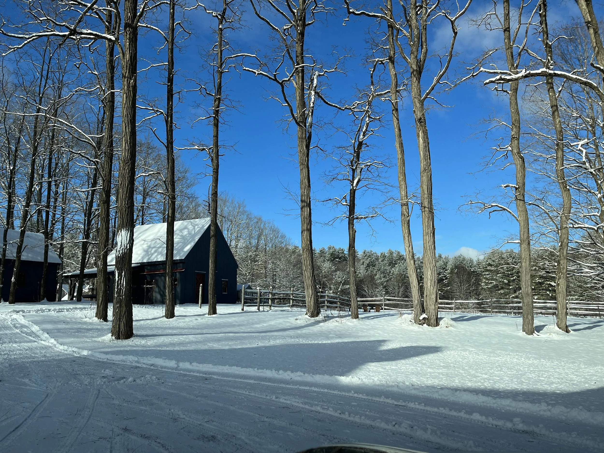Barn in Snow