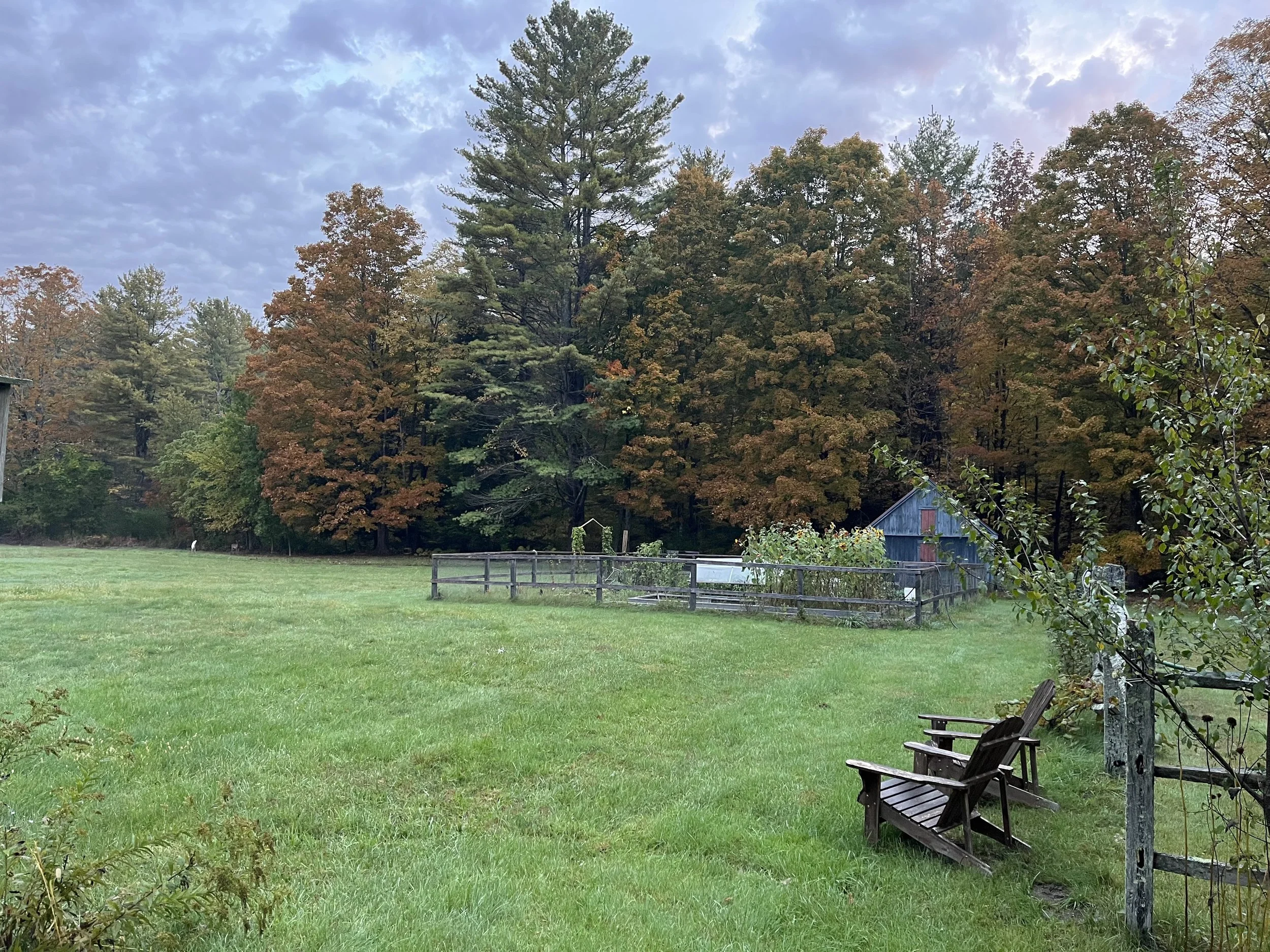 Vegetable Garden