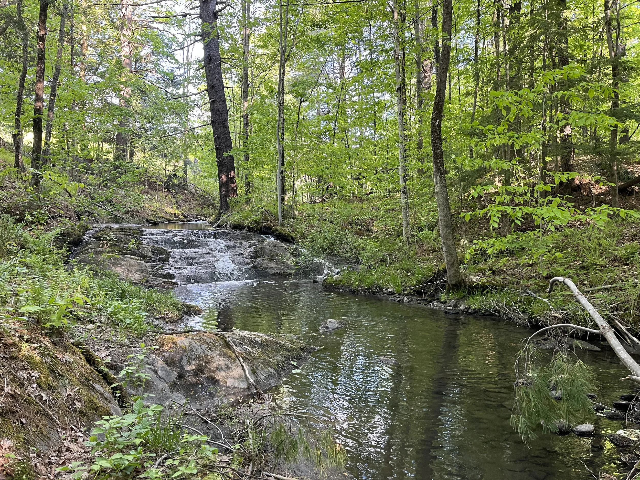 Beaver Brook