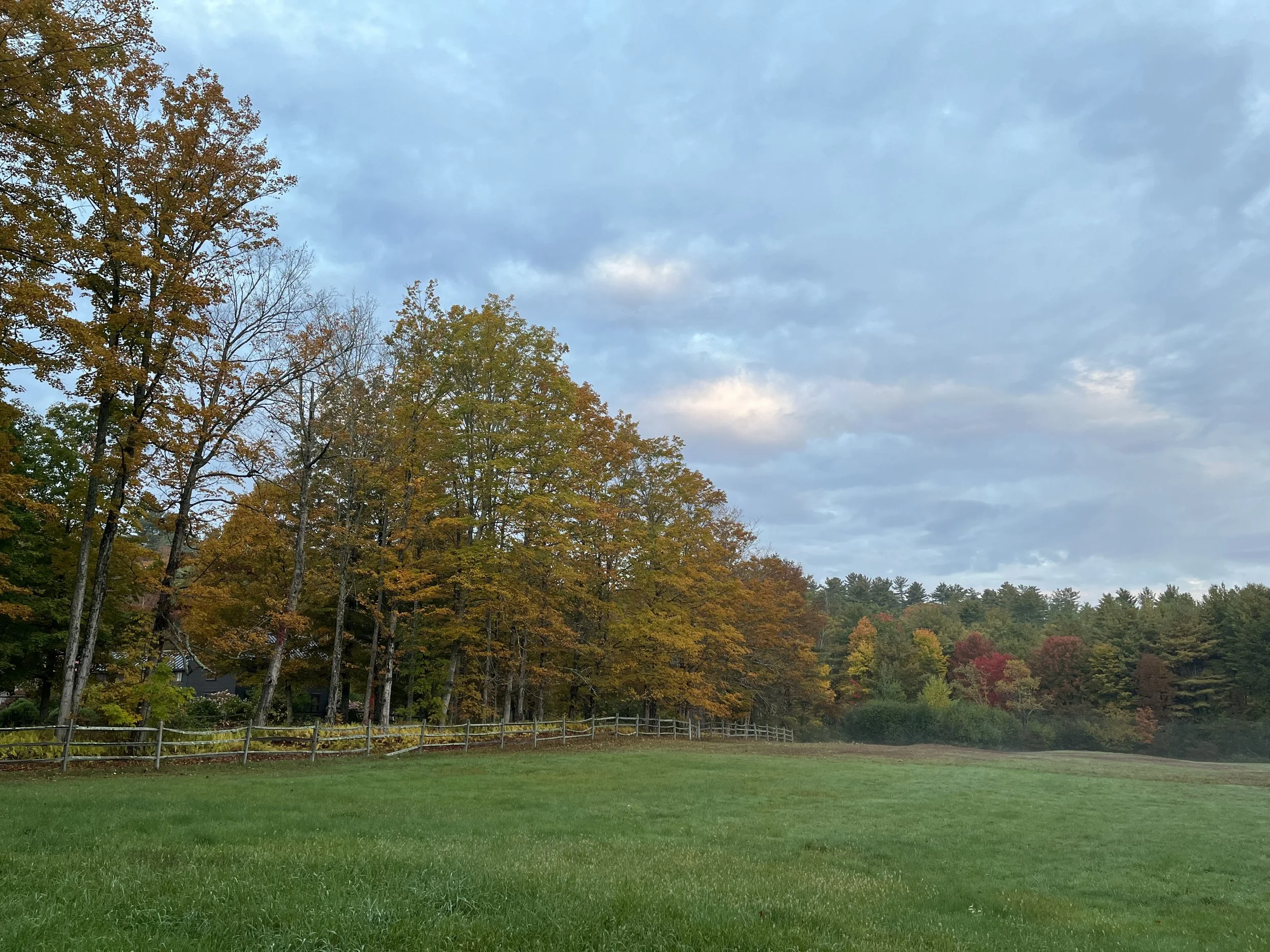 North Field