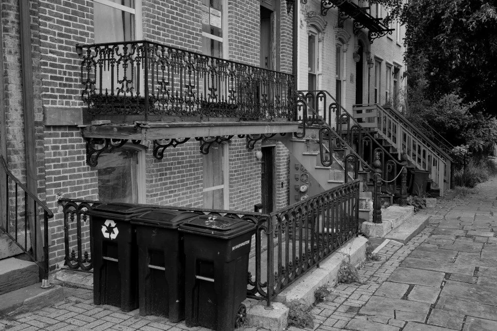 DSCF5217-20250608-DxO_DeepPRIME XD2s_Nik_DxO_DxO.jpg