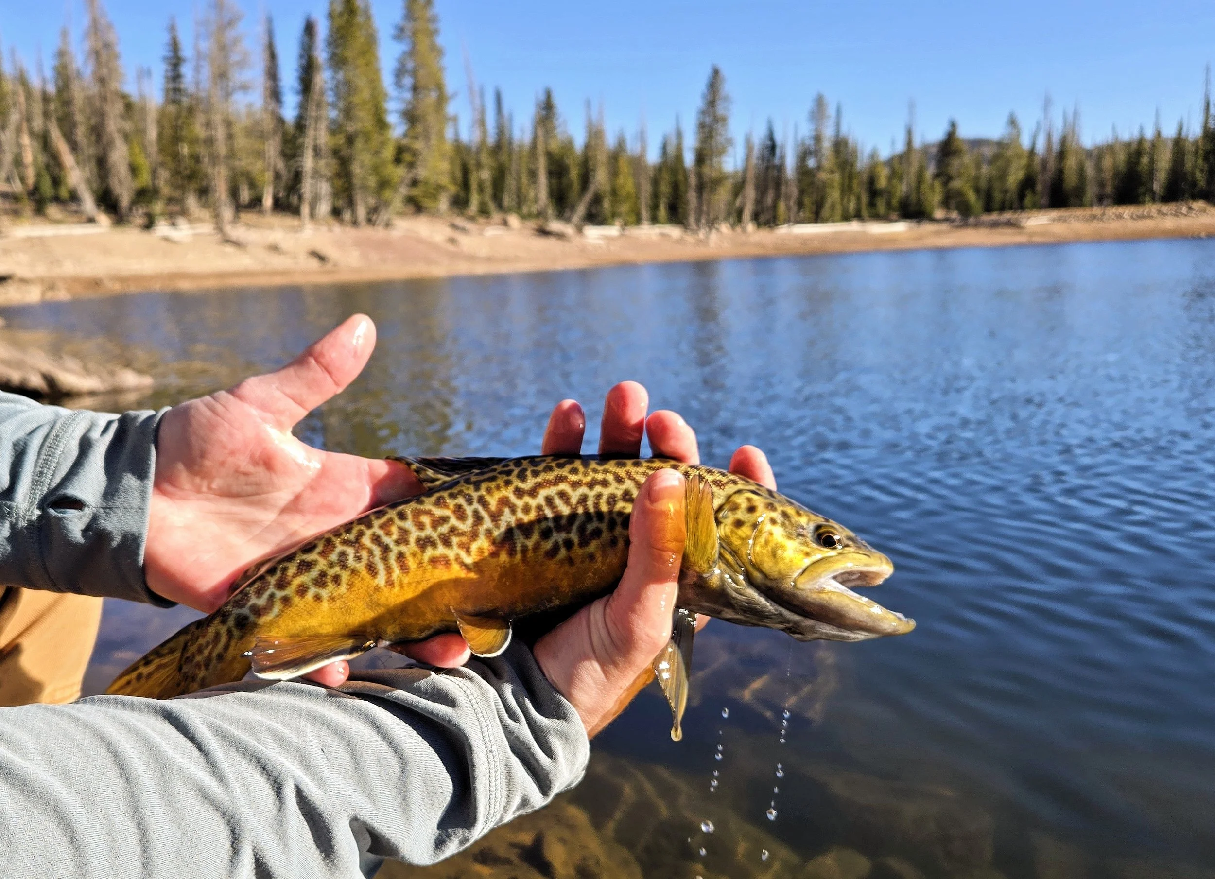 20241026_100120 (2).jpg