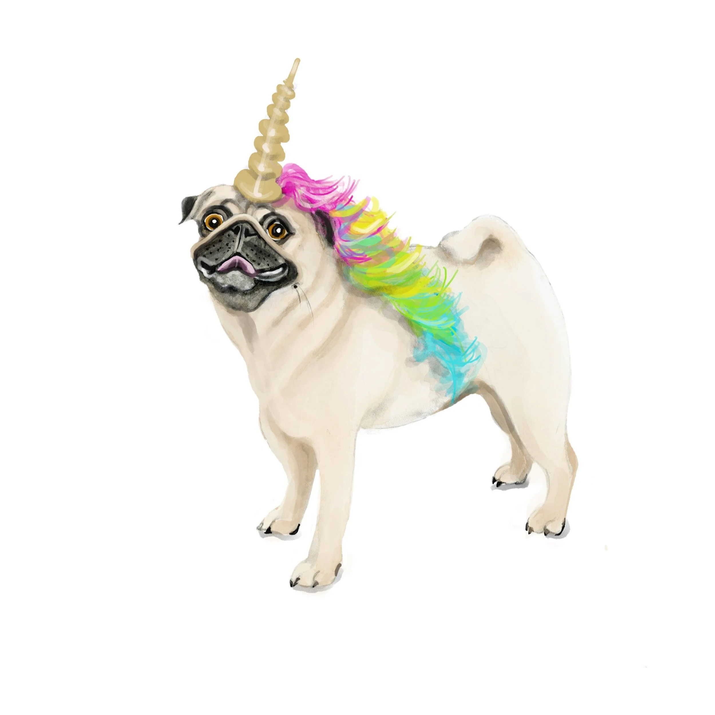 pugunicorn2.jpg