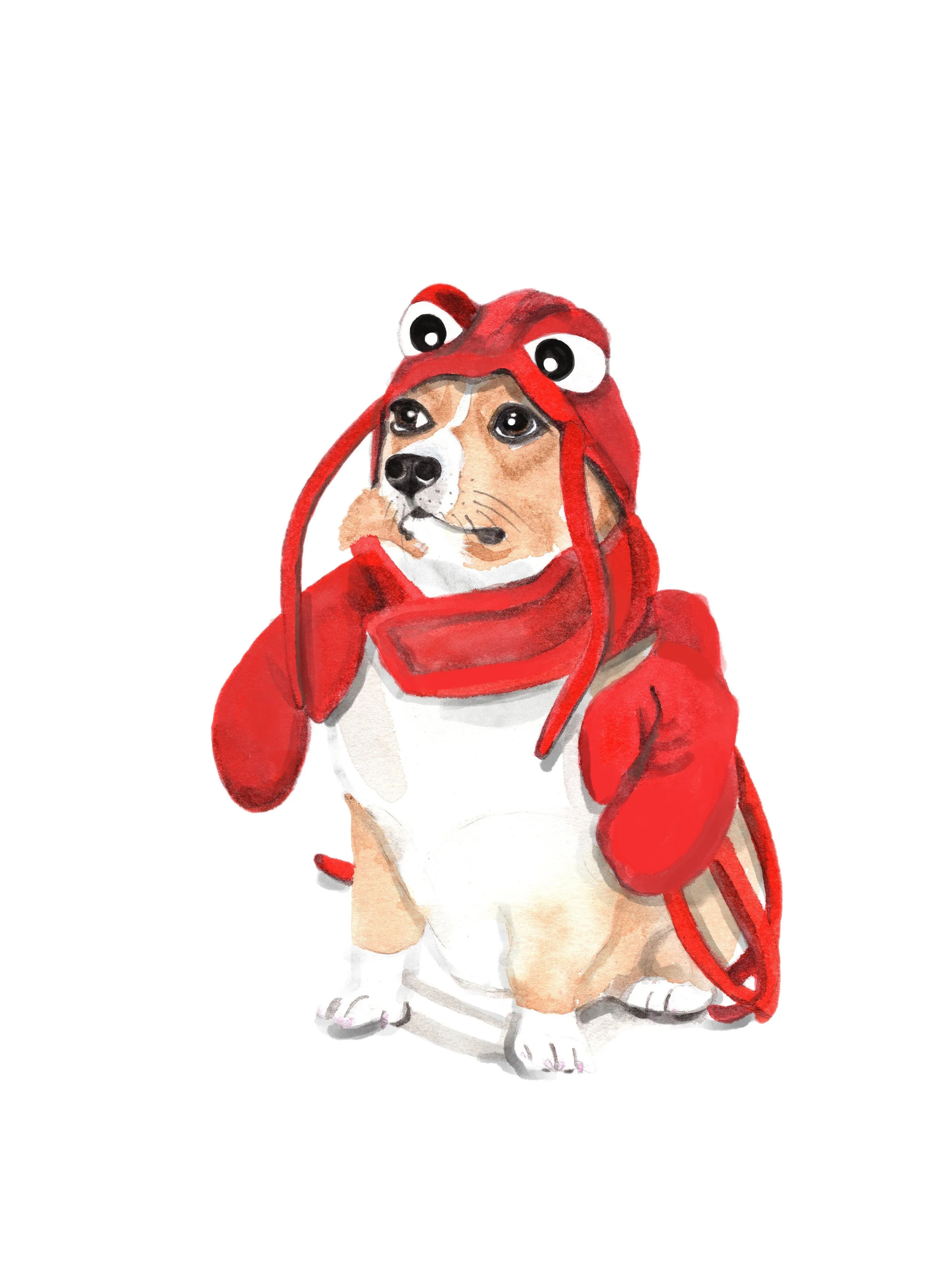 corgiinlobsterwhite copy.jpeg