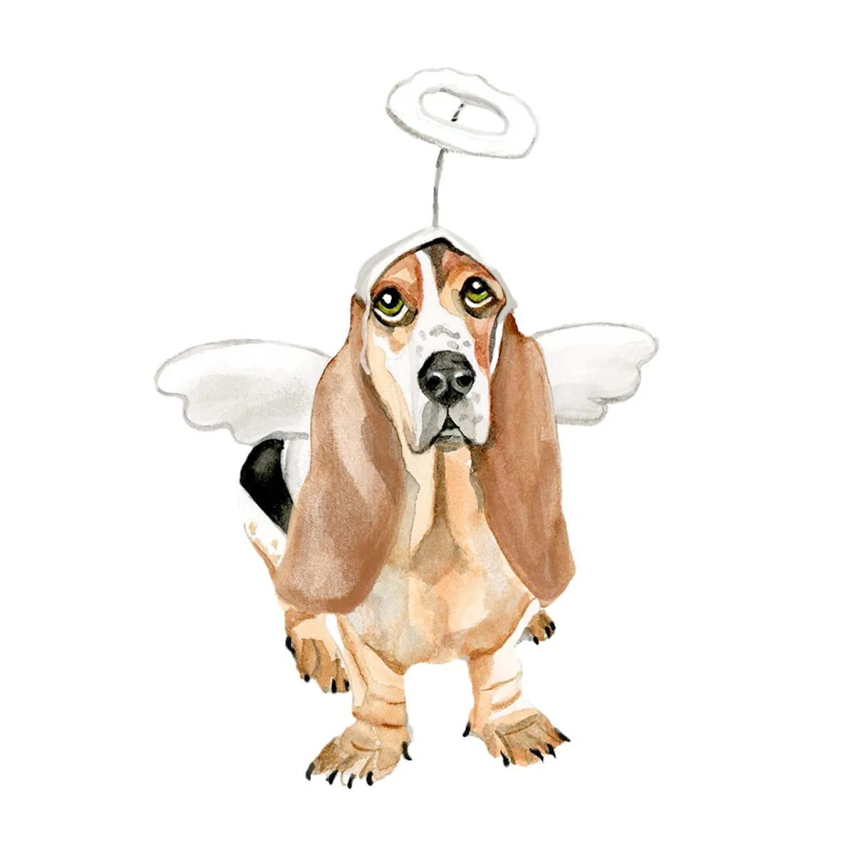 basset smaller.jpg