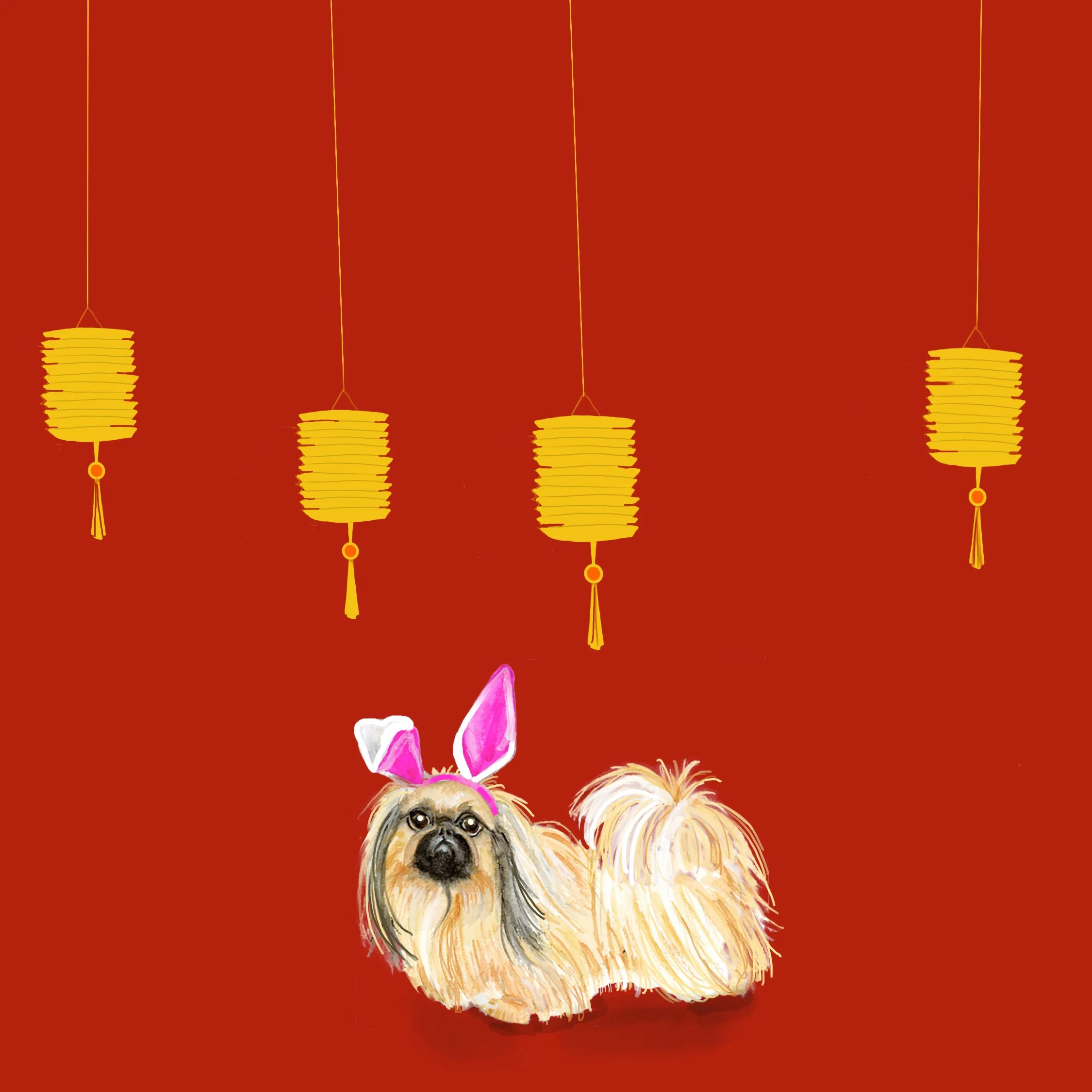 pekenese-chinease-new-year.jpg