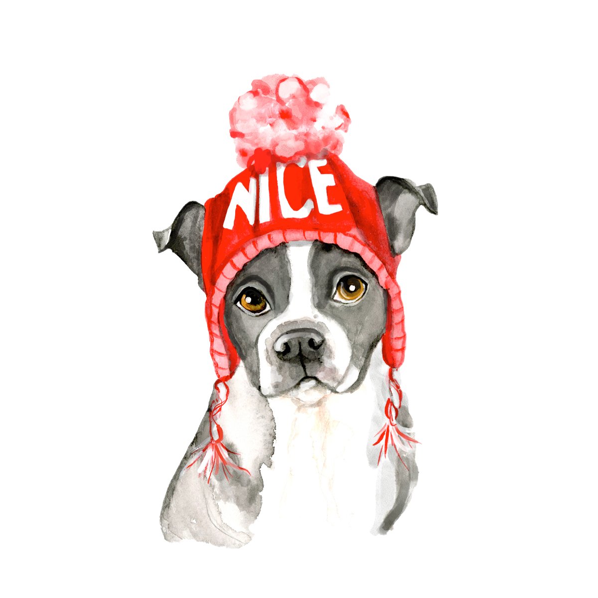 boston terrier 1200x1200.jpg