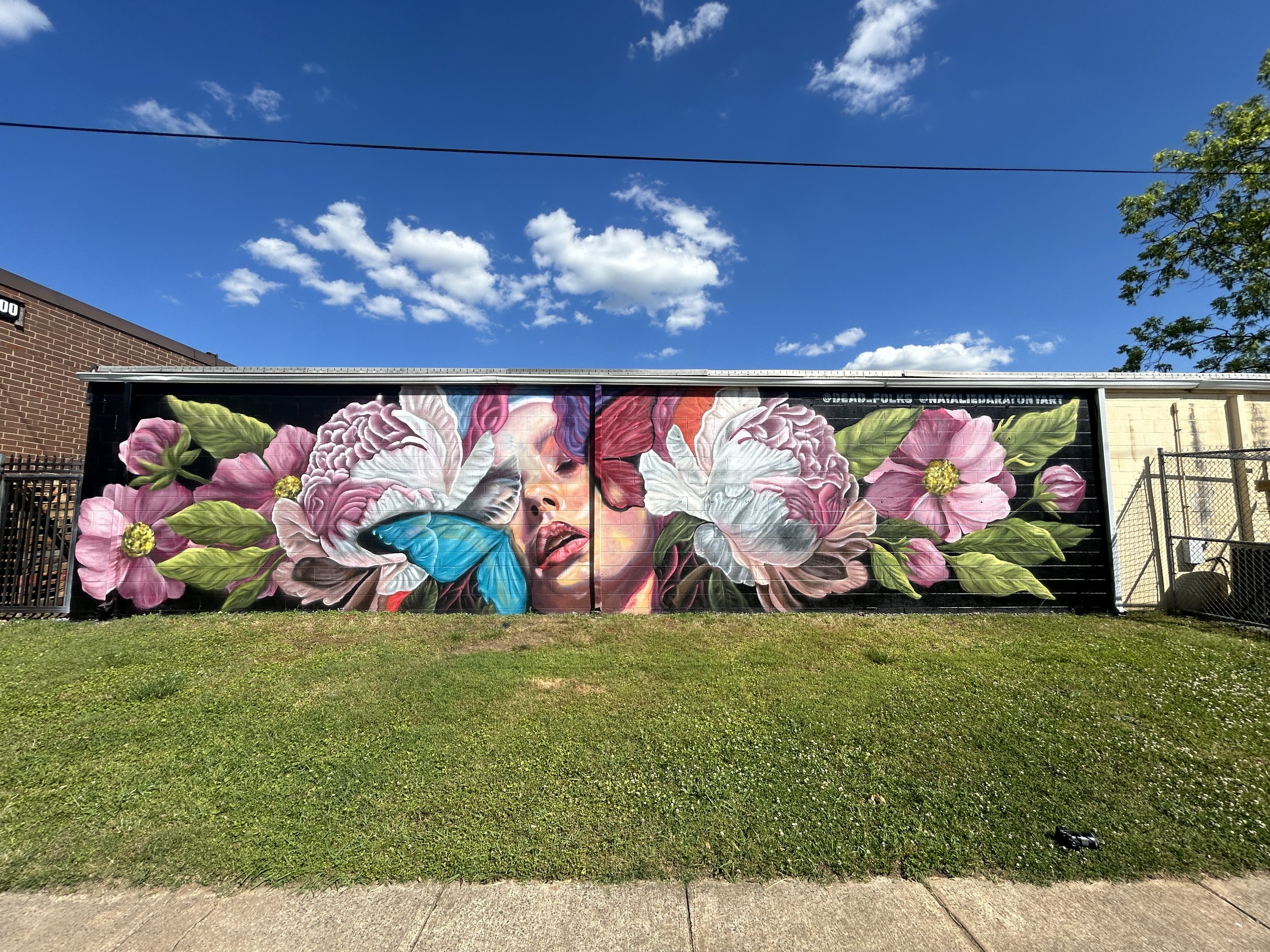 Colorful mural of a woman's face with pink flowers, blue butterfly, and red lips painted on a wall.