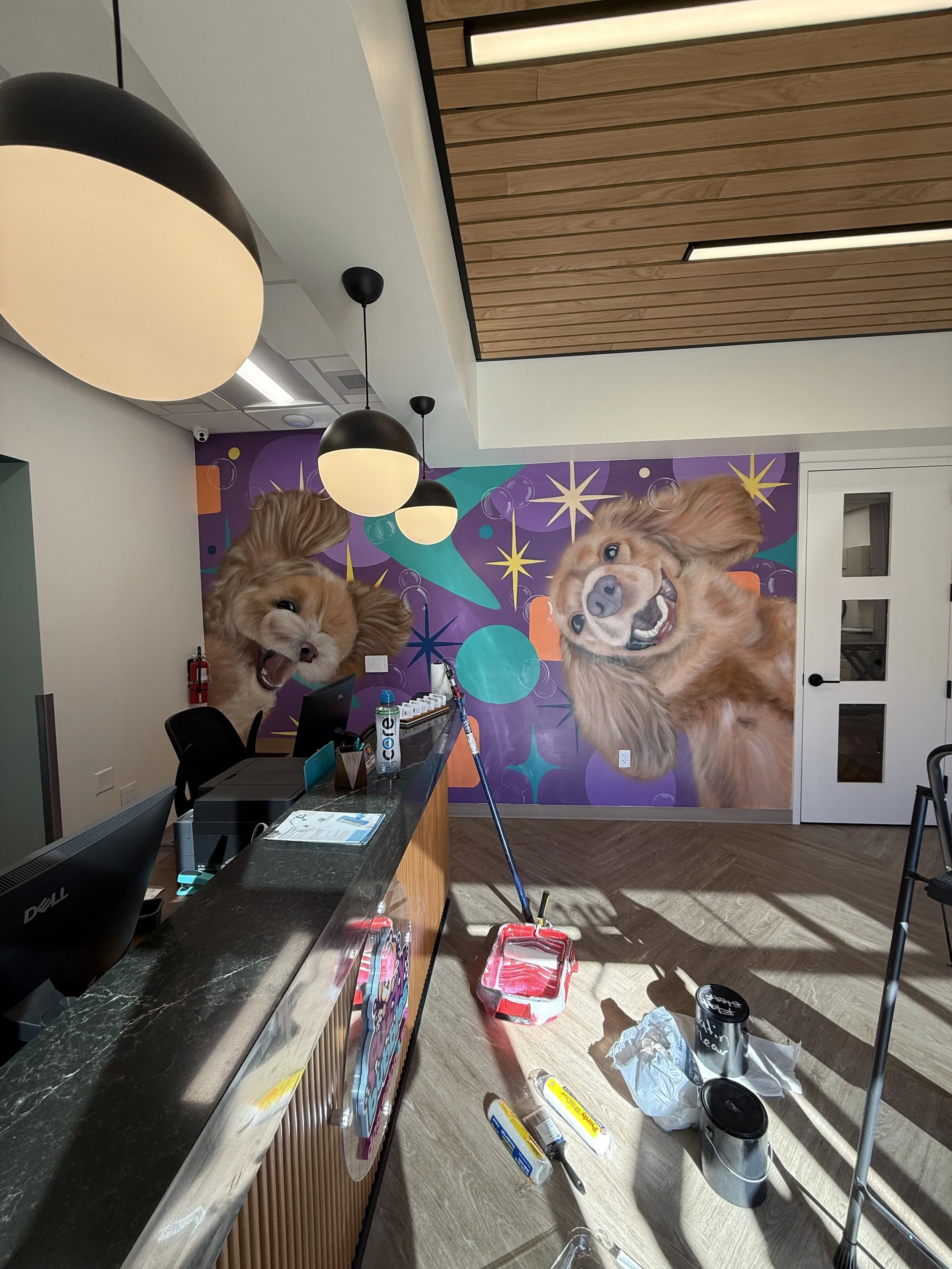 Colorful interior mural for a pet spa, commercial business