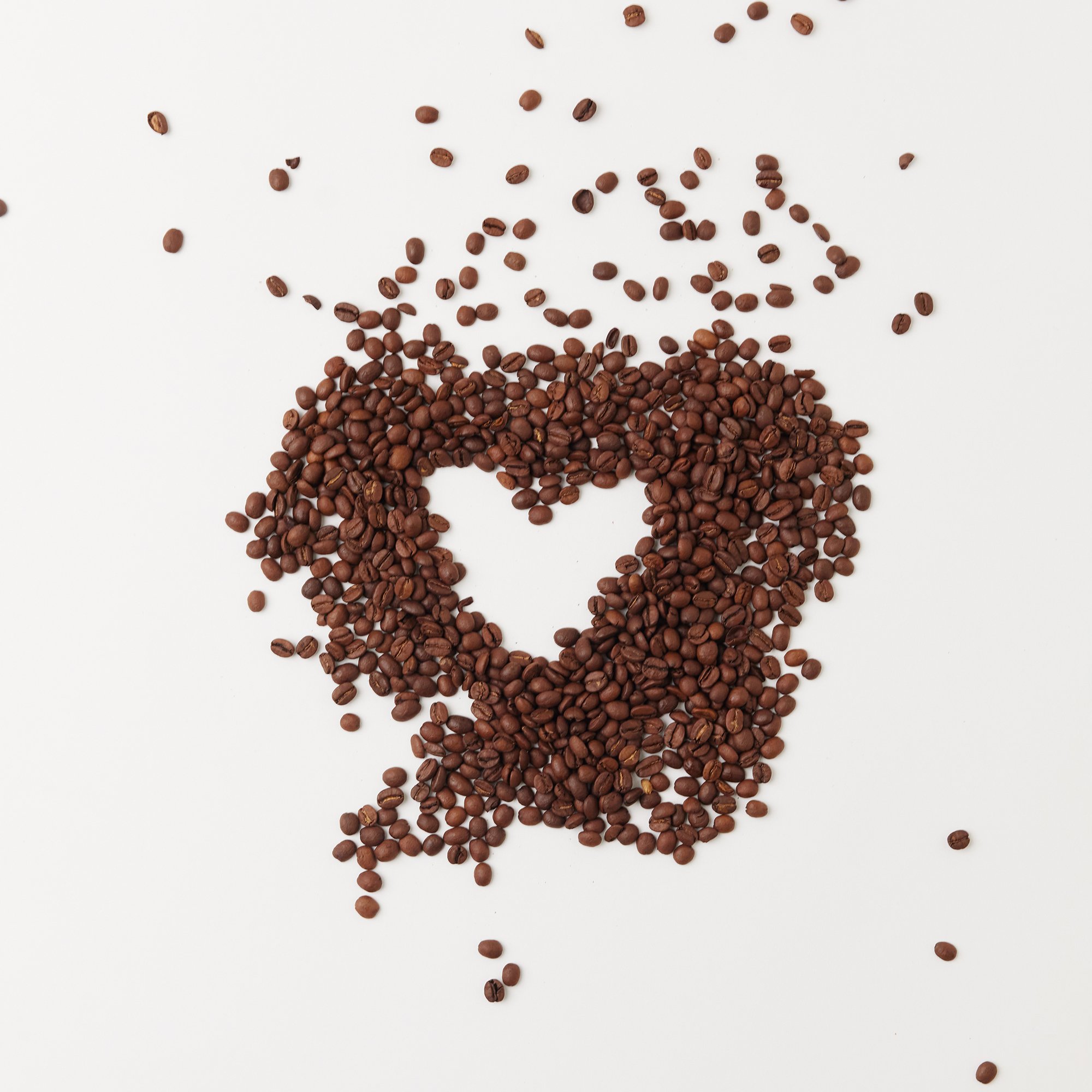 One Tricky Pony Hold Your Horses Decaf Whole Bean Coffee