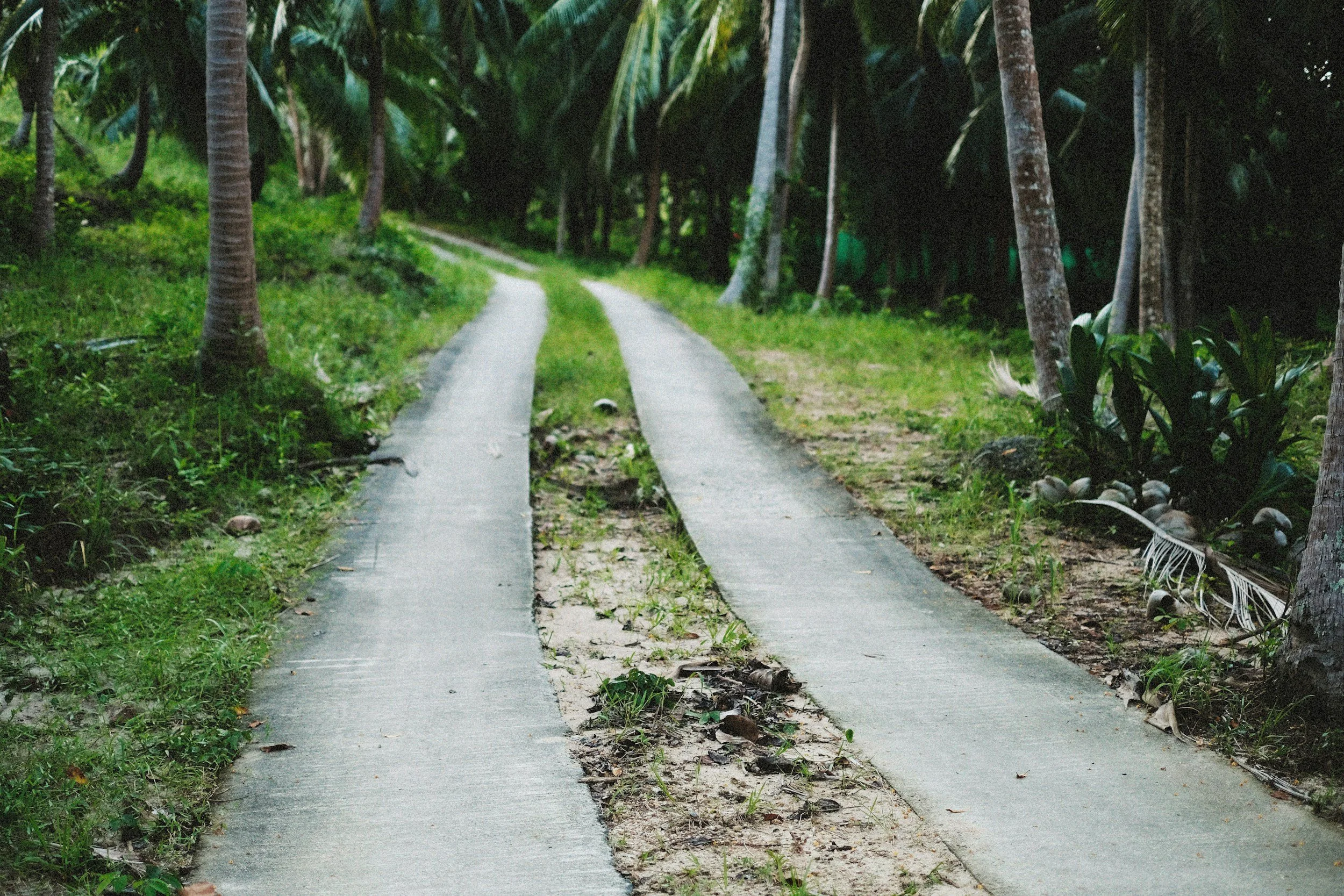 Parallel Paths: What Retirement Plan&nbsp; Disruption Tells Us About the Future of Health Benefits