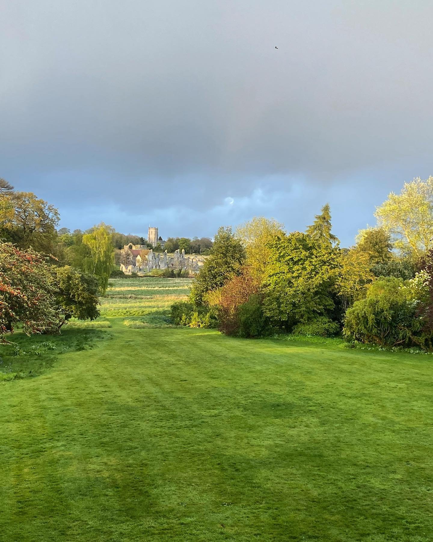 LUSH. Back to school and all garden evidence of offspring rapidly cleared (every shape of blooming ball, golf holes, goat hurdles, dog agility courses, strewn crisp packets etc) 
Bring on the Summer term 💚

Link in bio for available work online.