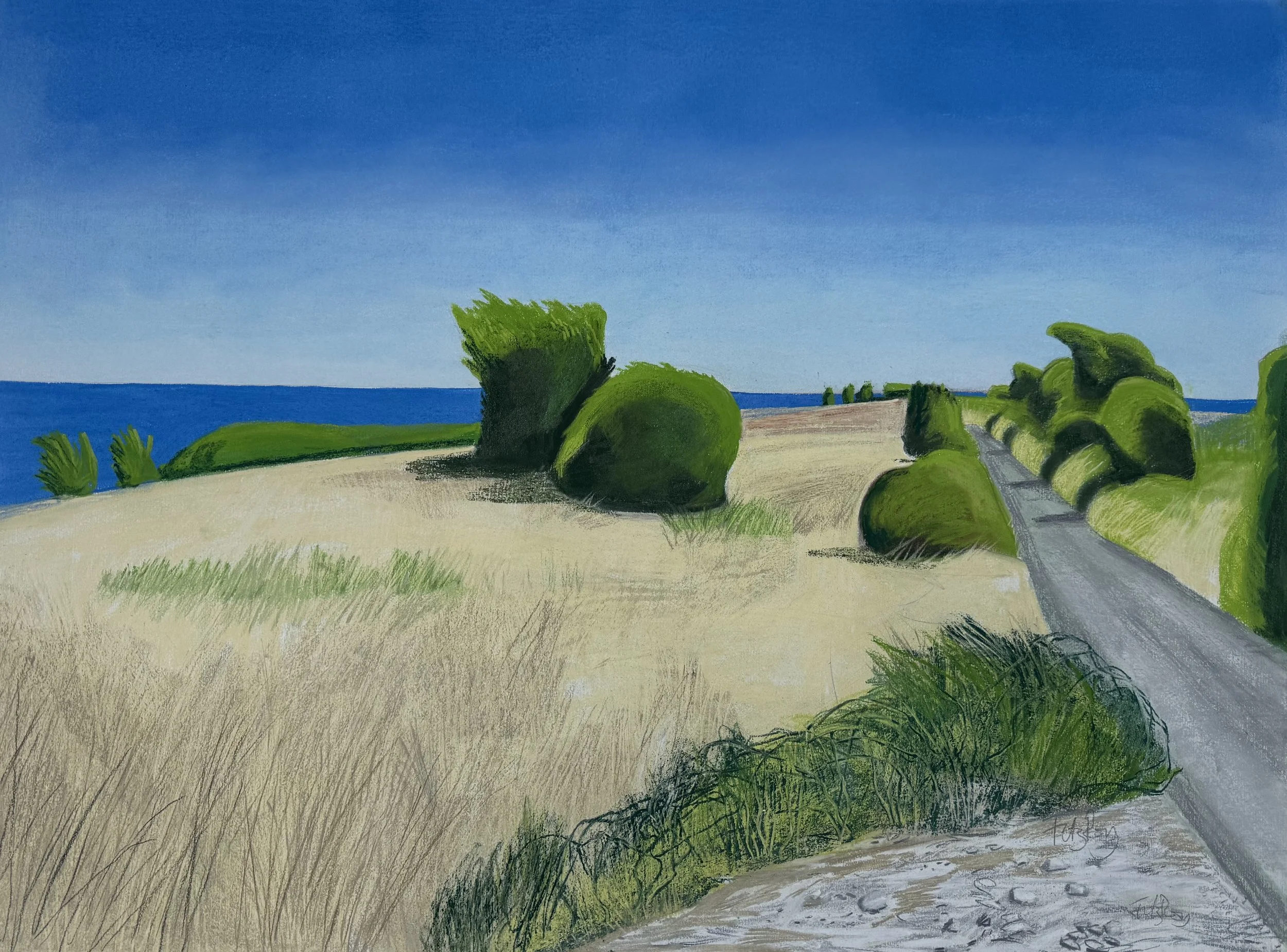 Culver Down. Above Benbridge by Cornelia FitzRoy