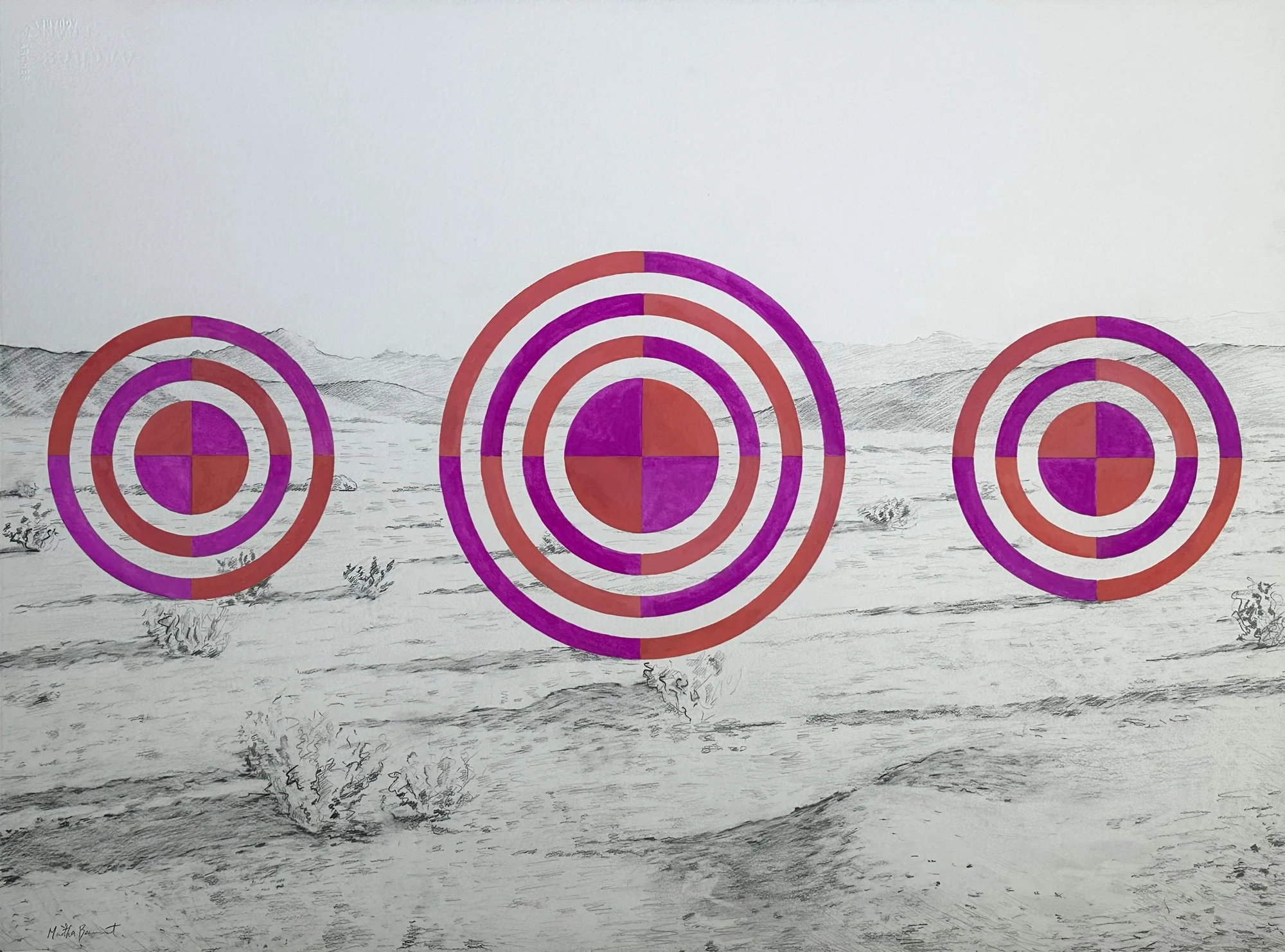 Crosshairs by Martha Beaumont