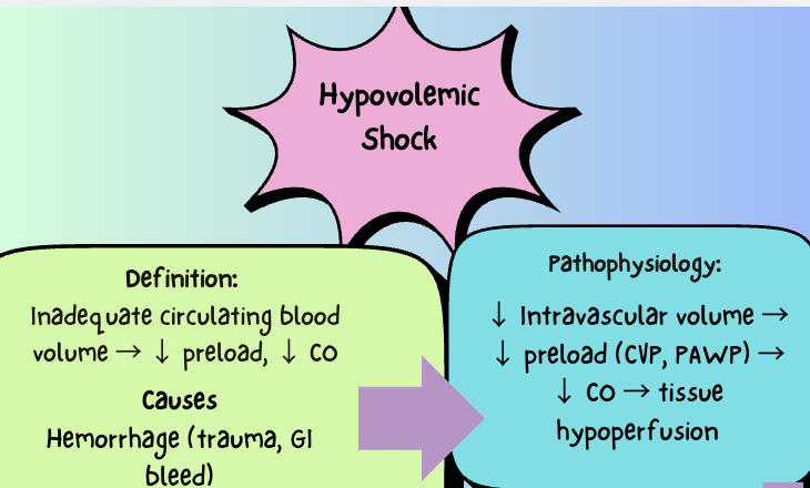 Screenshot 2026-03-28 at 14.45.42.png