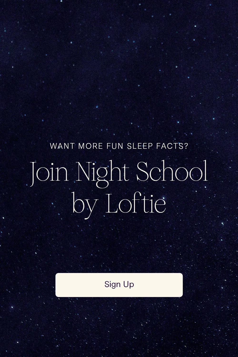 Loftie_Night School Carousel_Frame 04.jpg