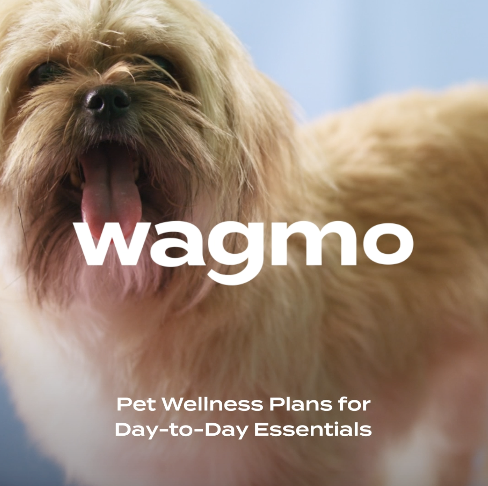 Wagmo