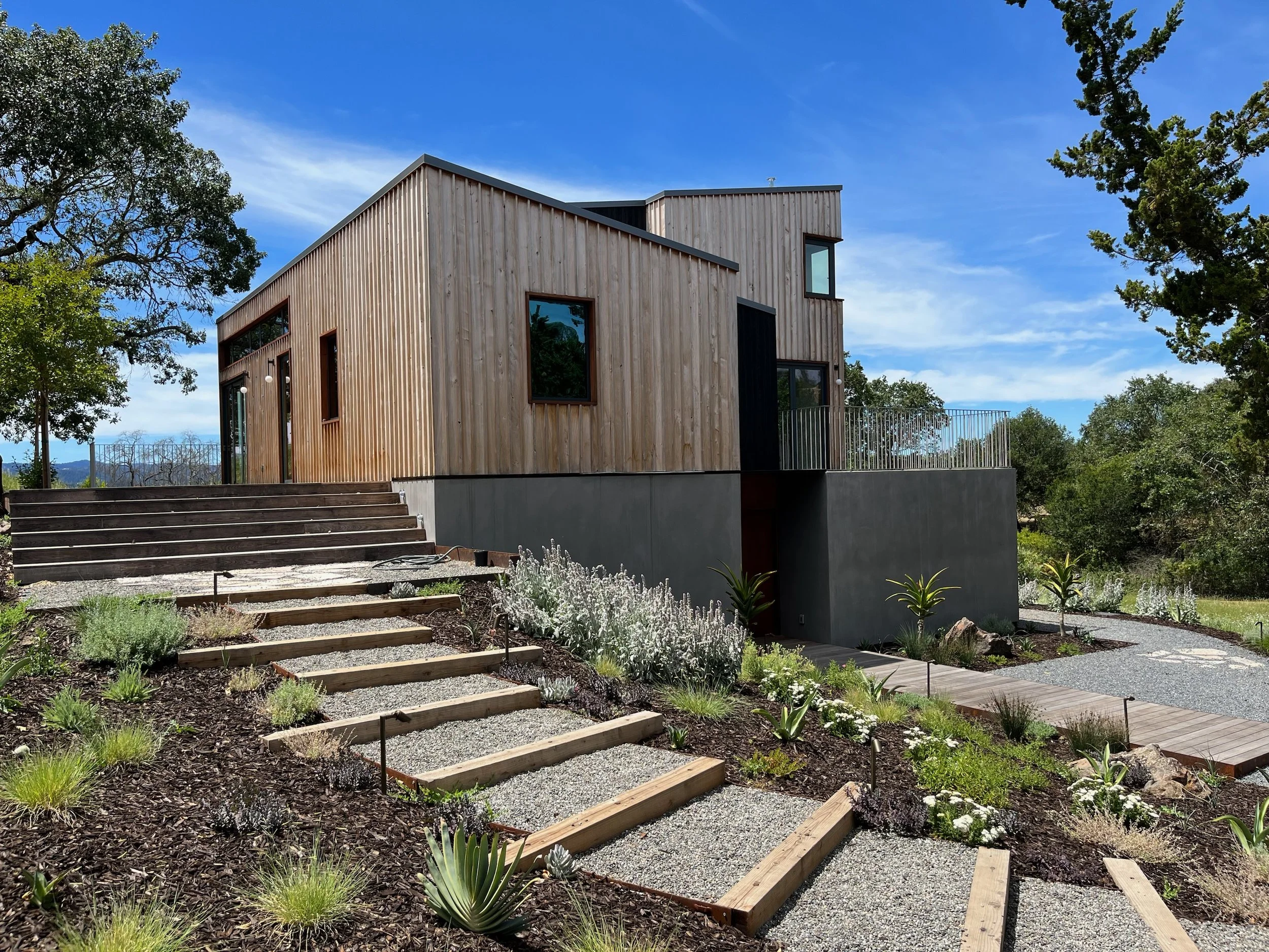 Timber Steps through Hillside