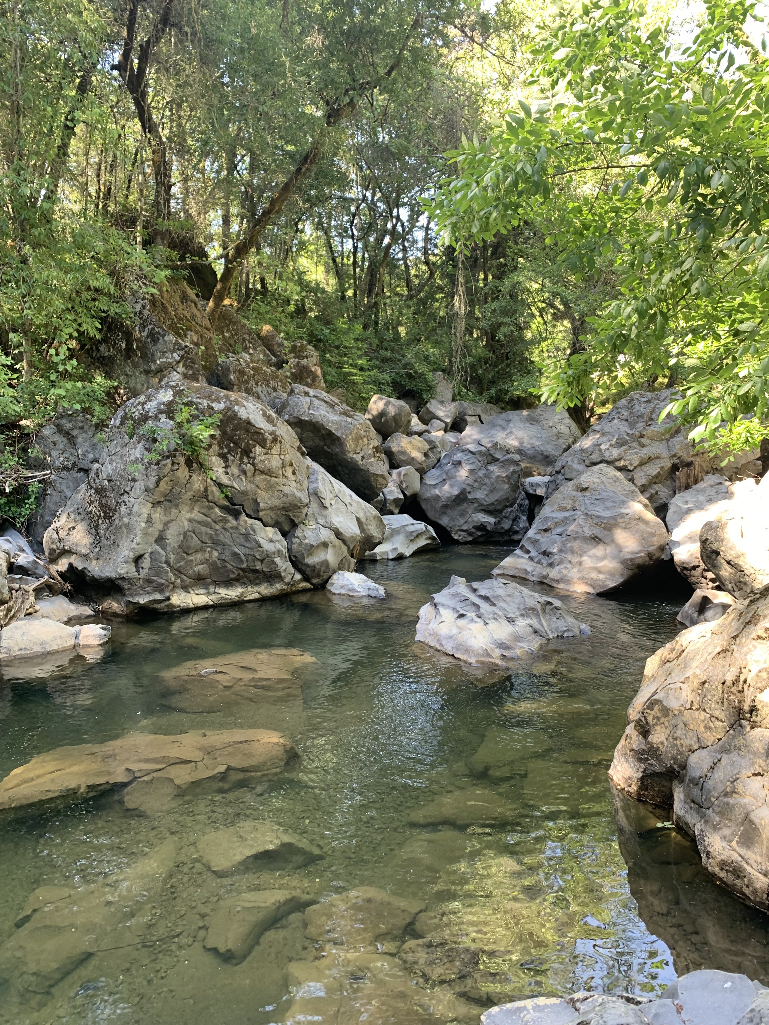 Swimming hole