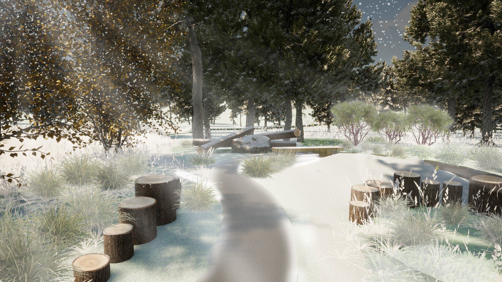 Image5_snow.jpg