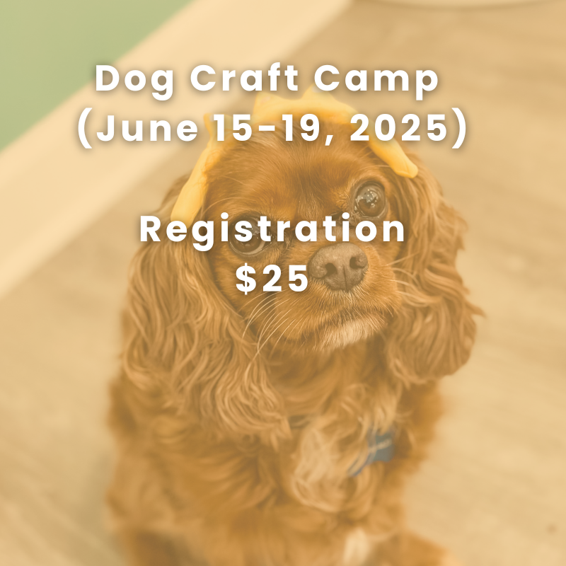 Dog Craft Camp (June 15-19, 2025) REGISTRATION